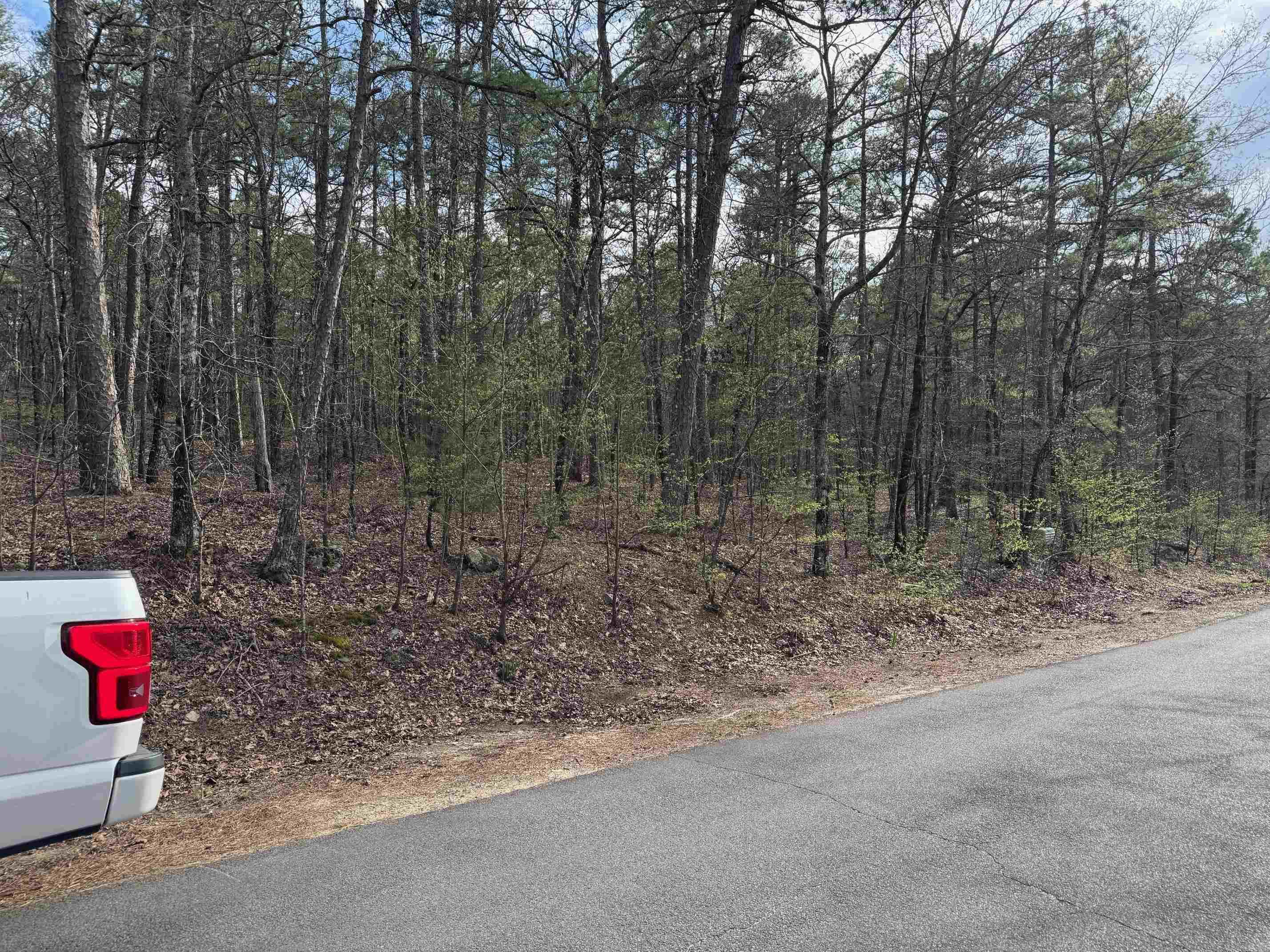 18  FINEZA WAY  Hot Springs Village, AR