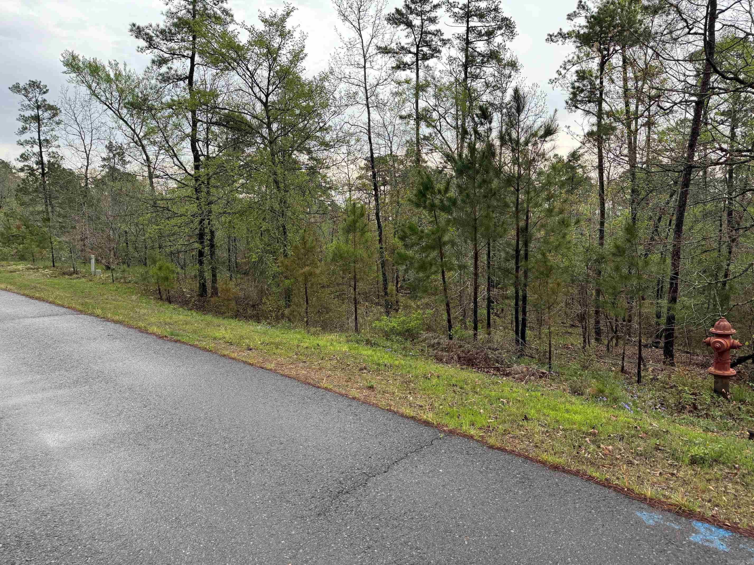 22  JUBILEO WAY  Hot Springs Village, AR