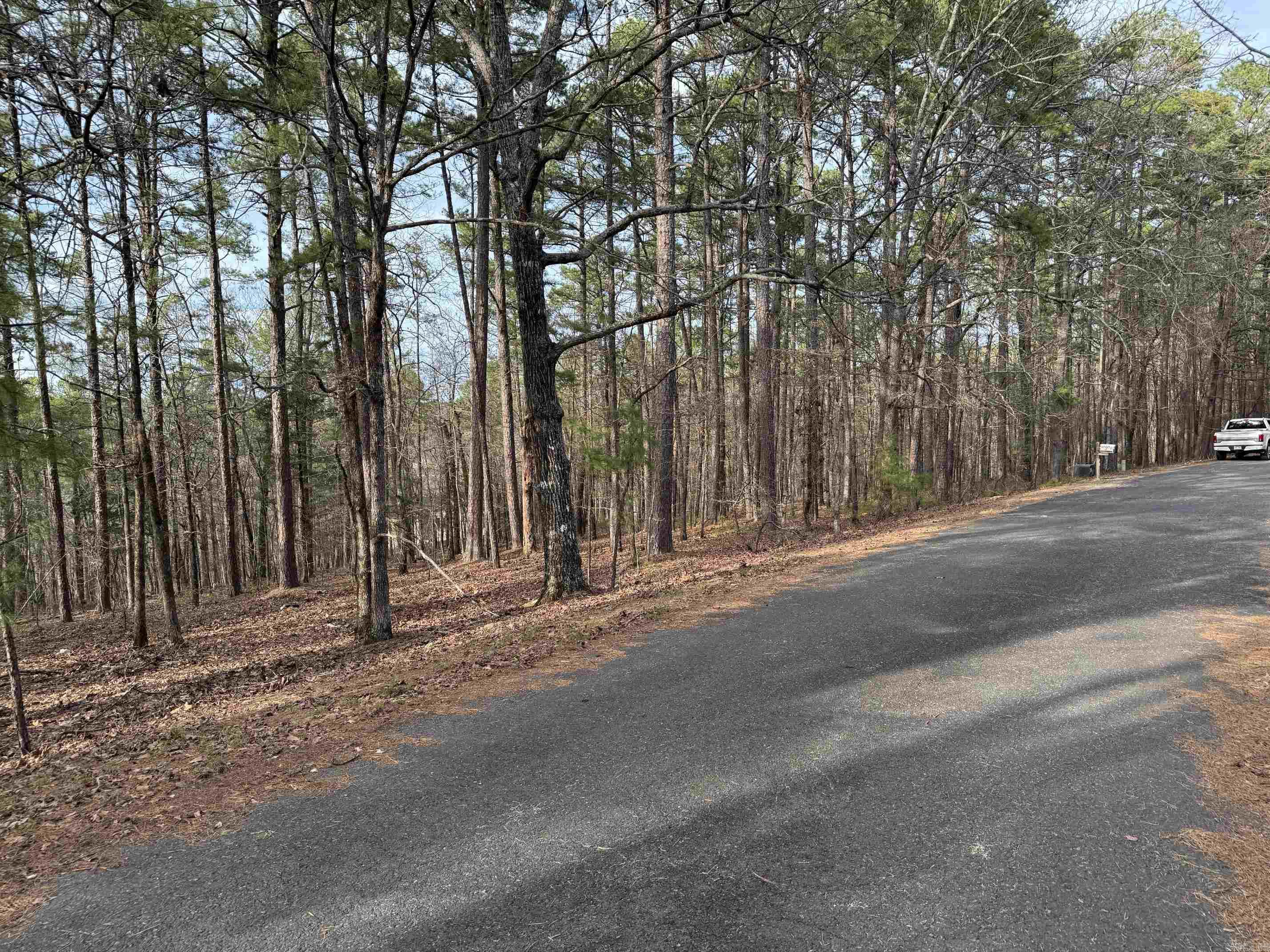 42  ESTANCIA CIRCLE  Hot Springs Village, AR