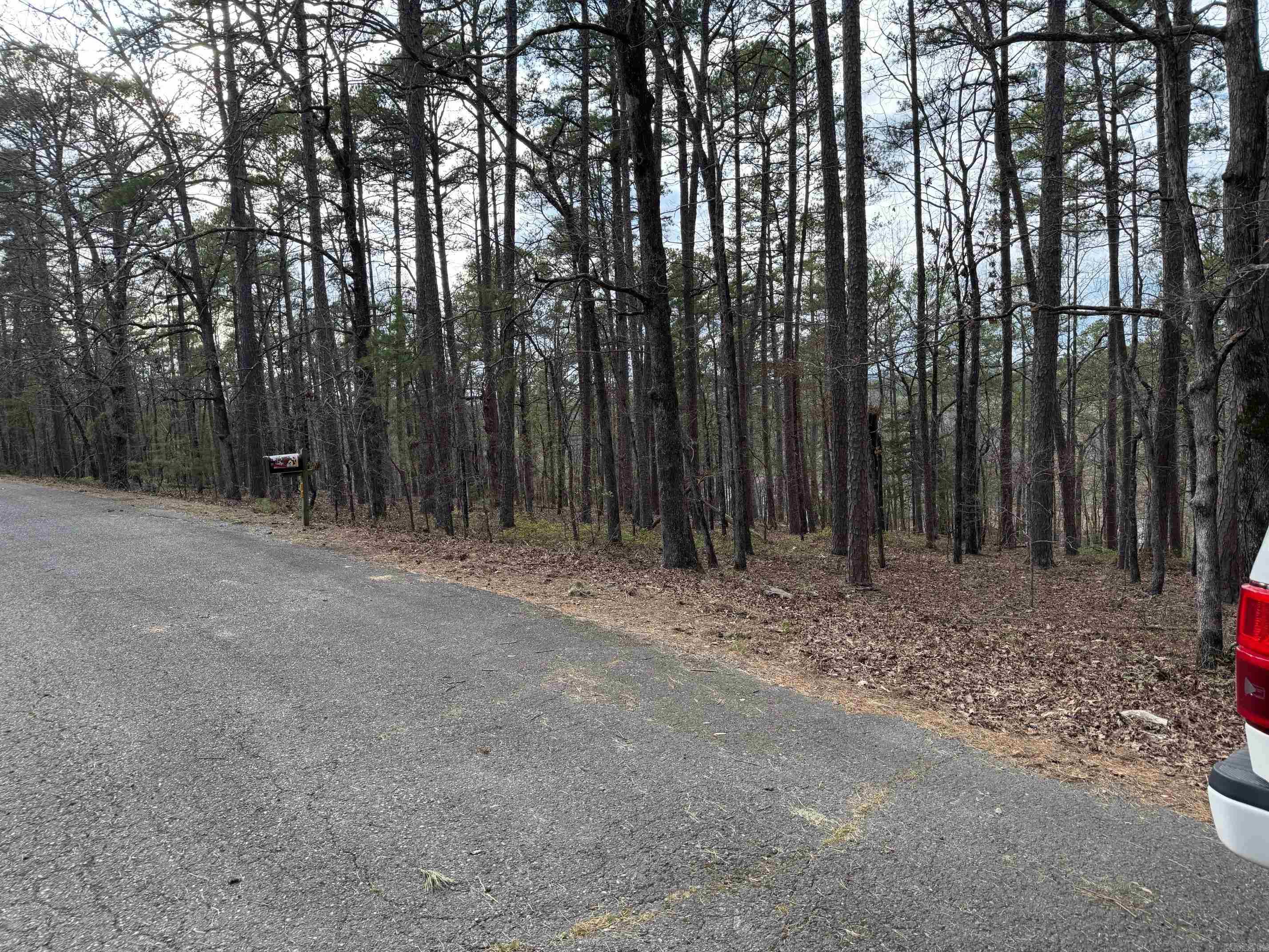 42  ESTANCIA CIRCLE  Hot Springs Village, AR