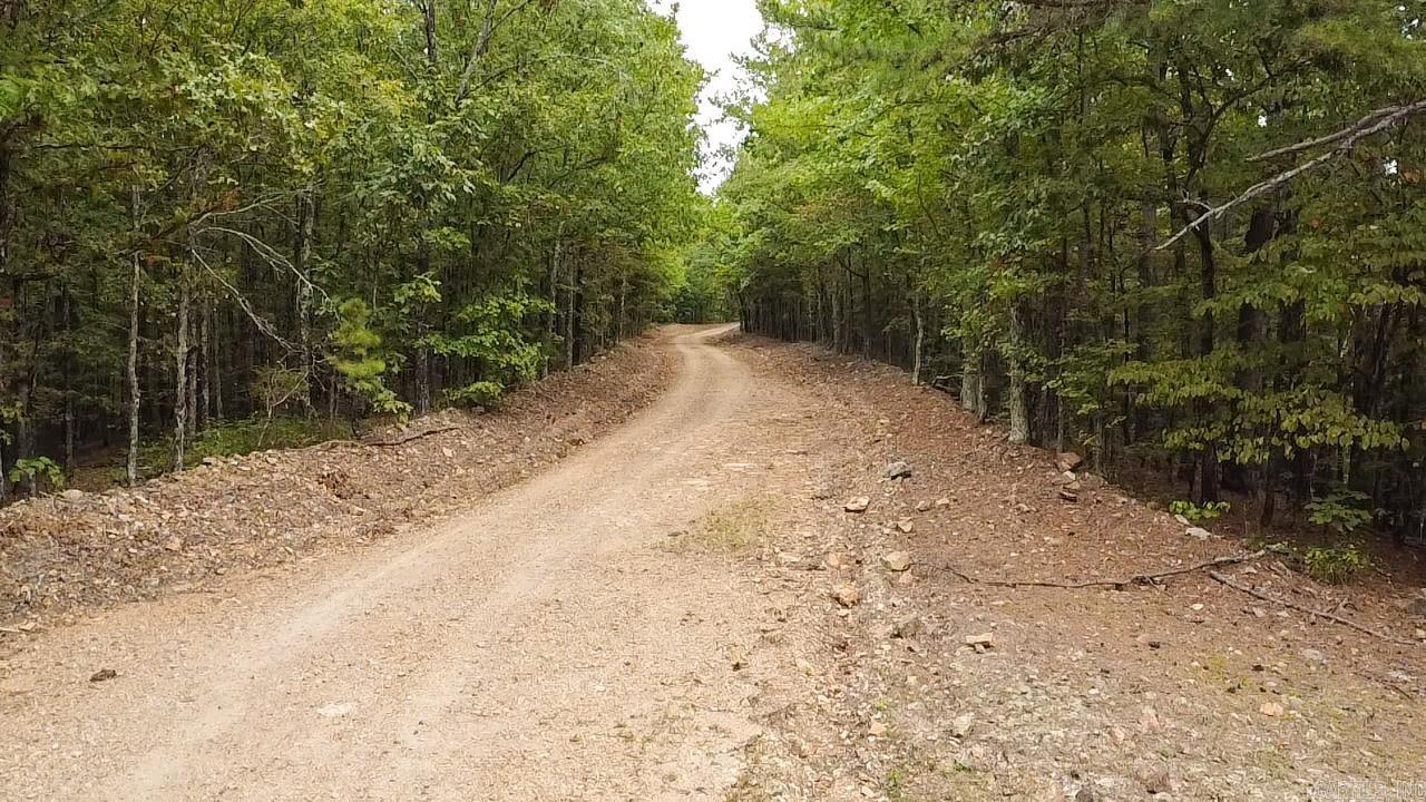 0000  Camden  Amity, AR