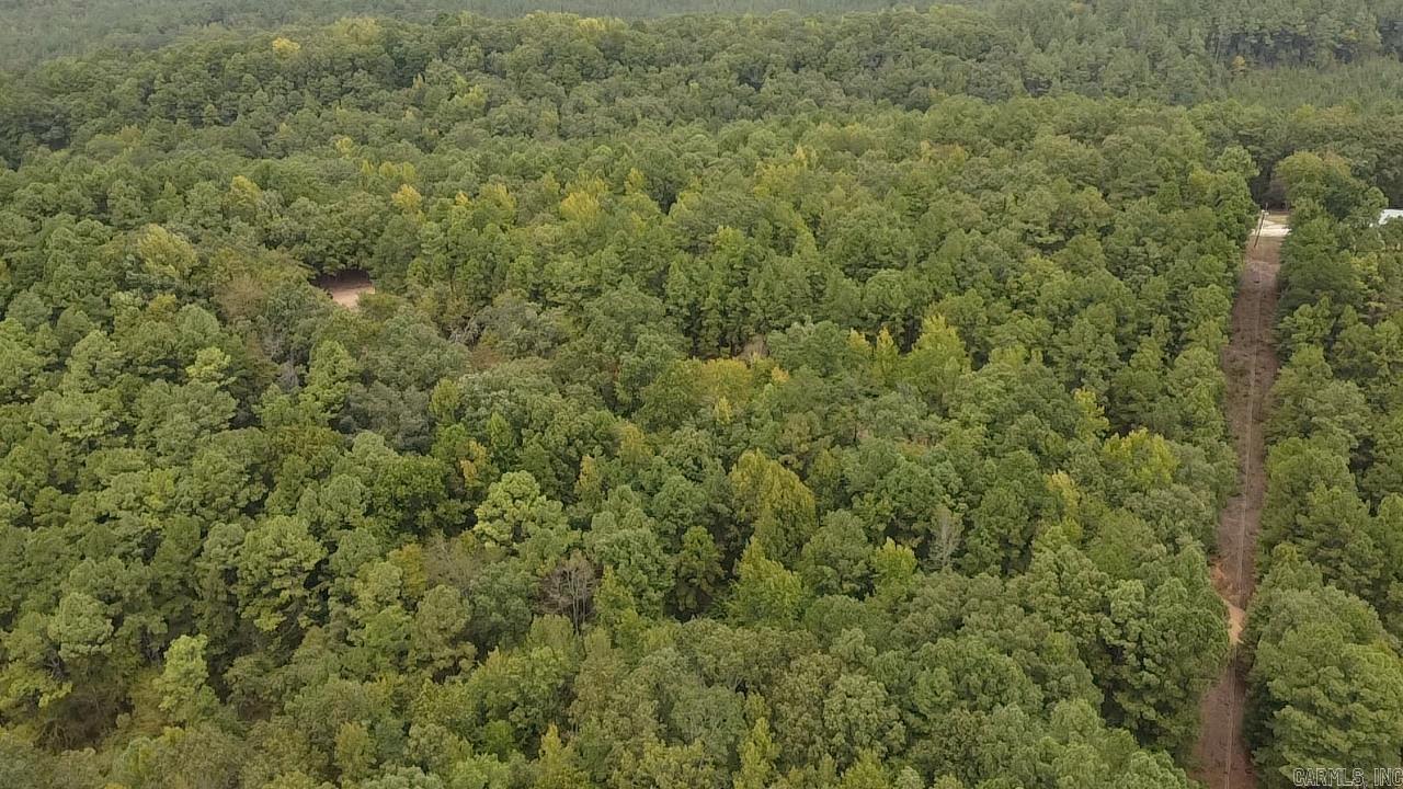 0000  Camden  Amity, AR