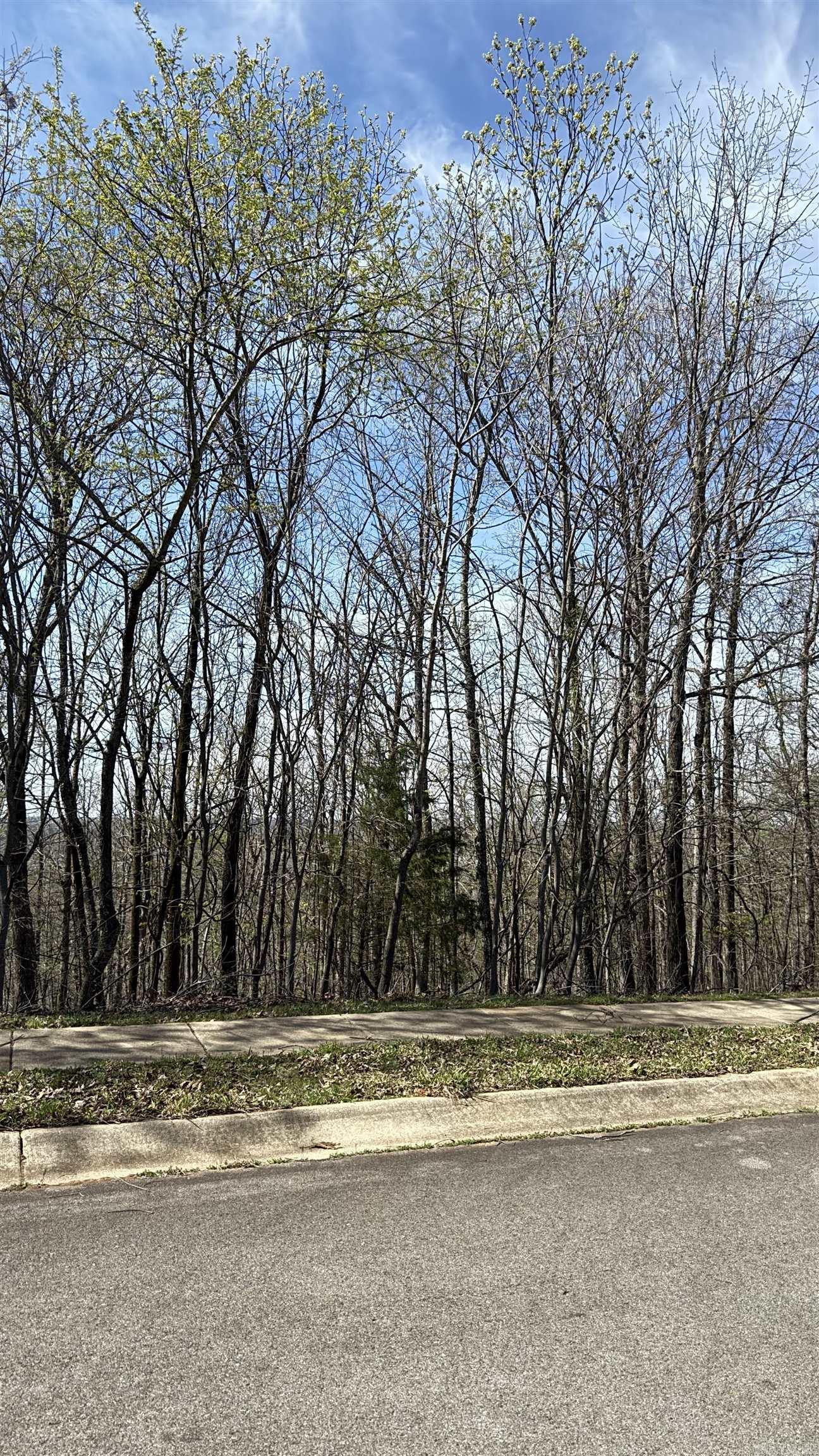 26  Mountain Vista  Alexander, AR