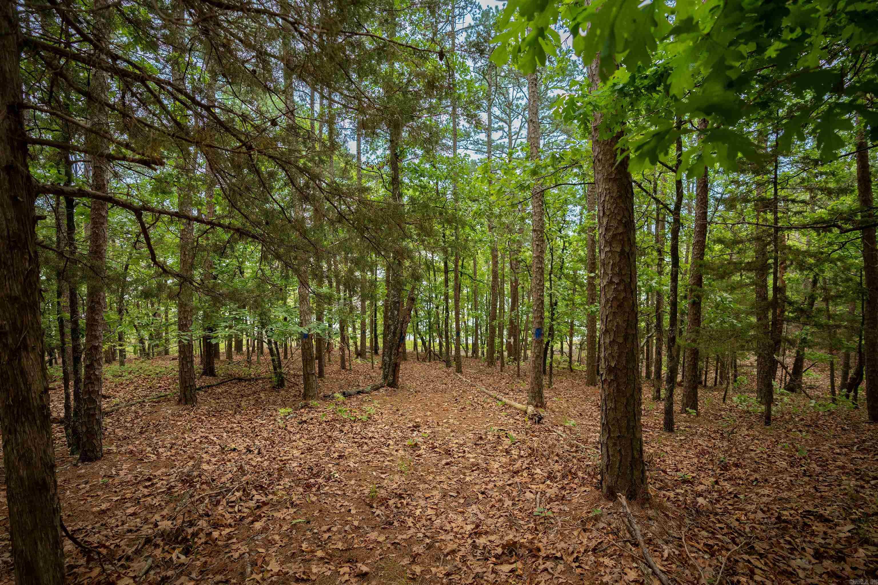 31  Farris Landing  Quitman, AR