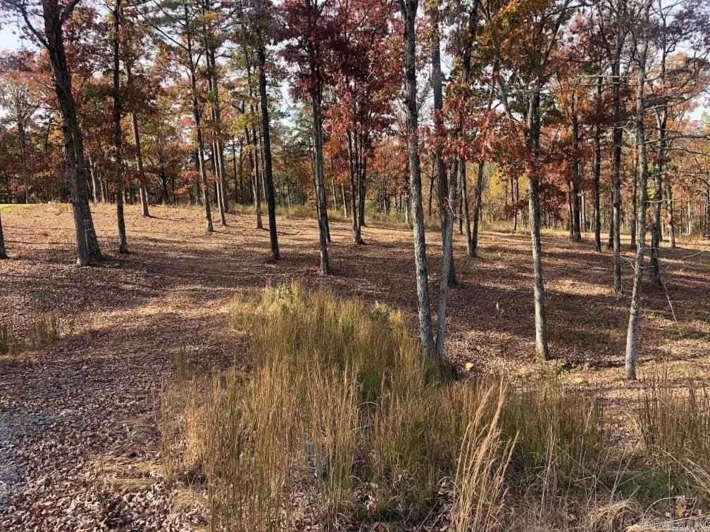 3905  ORCHARD HILL  Conway, AR