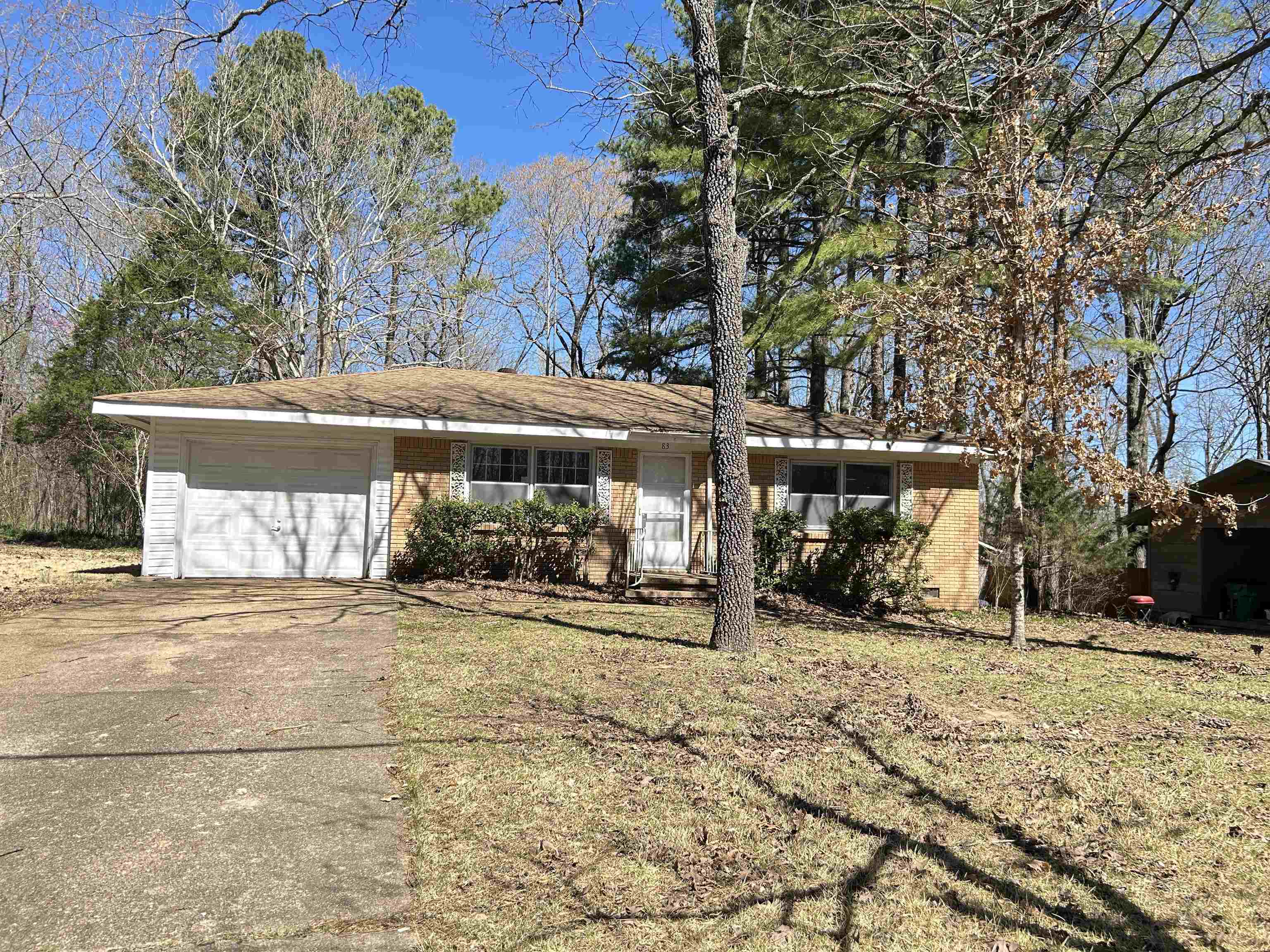 83  Allegheny  Cherokee Village, AR