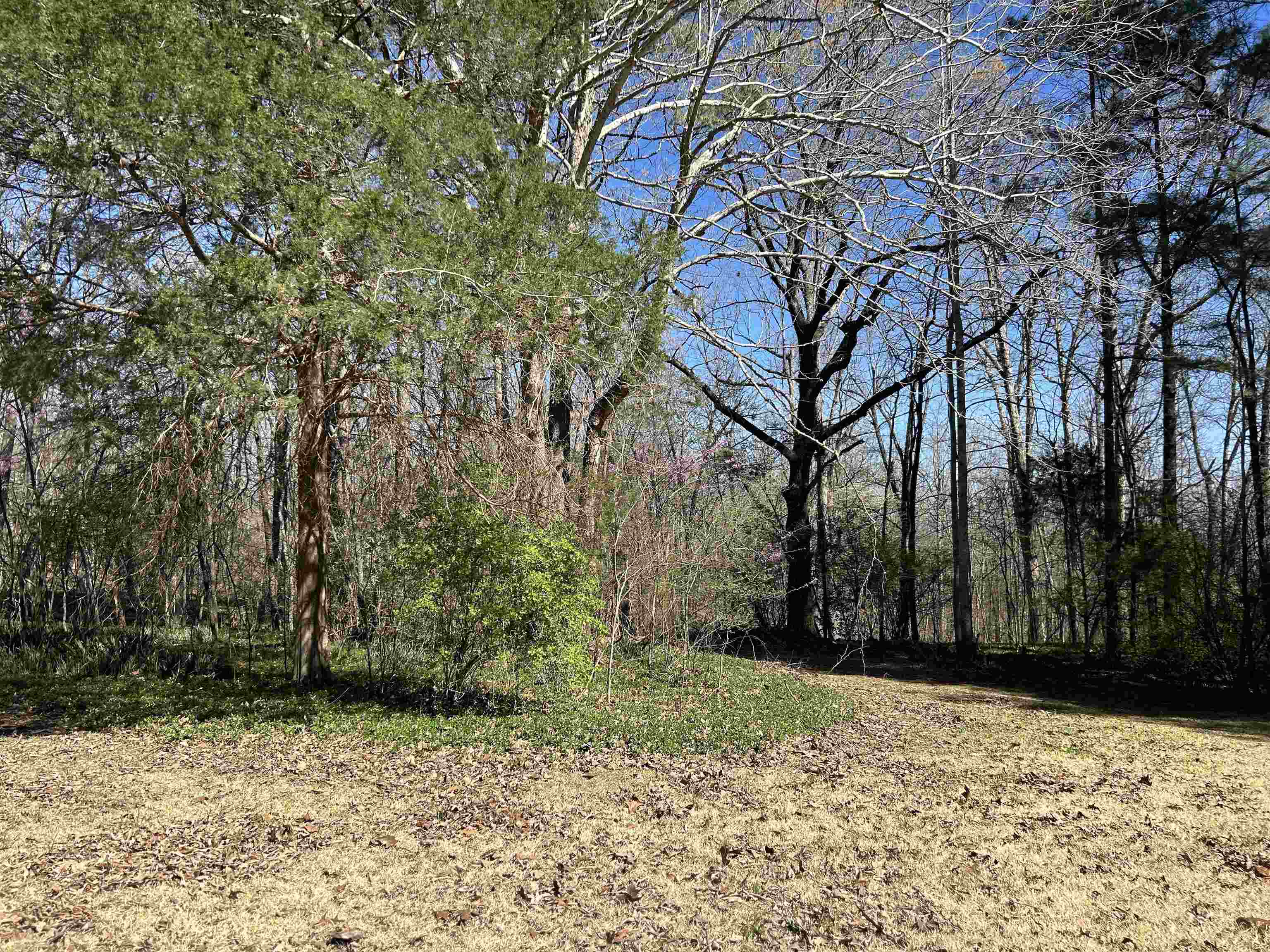 83  Allegheny  Cherokee Village, AR