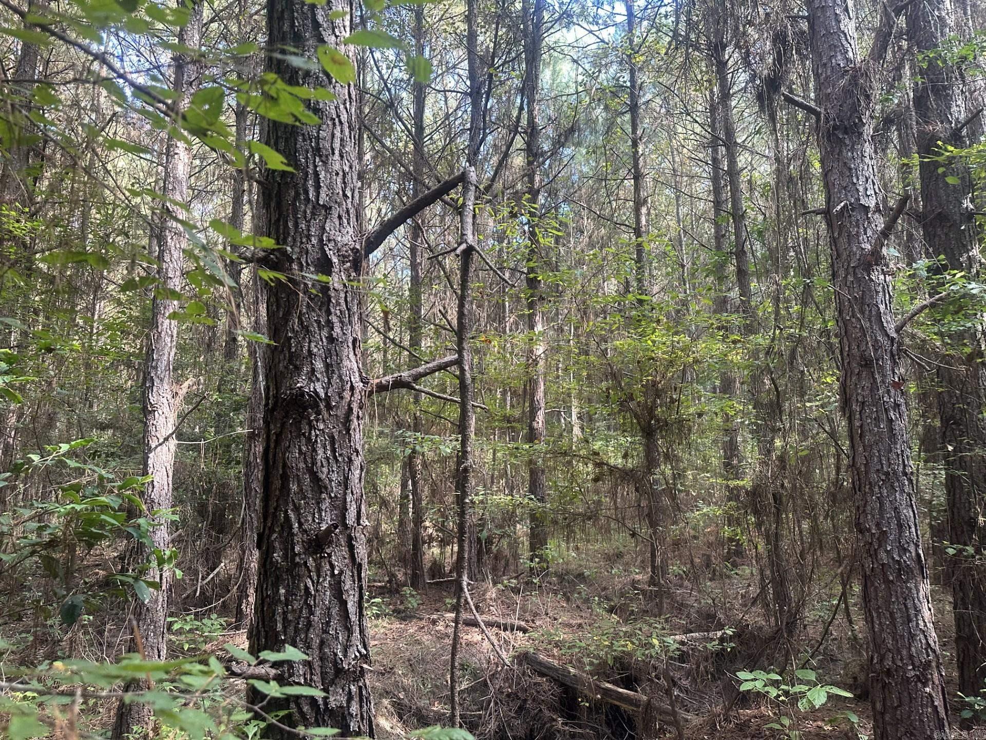 1  Bethel Rd  Mt. Holly, AR