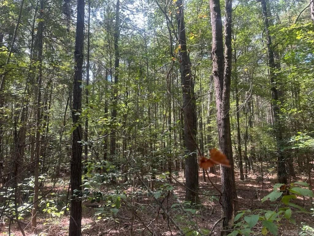 1  Bethel Rd  Mt. Holly, AR