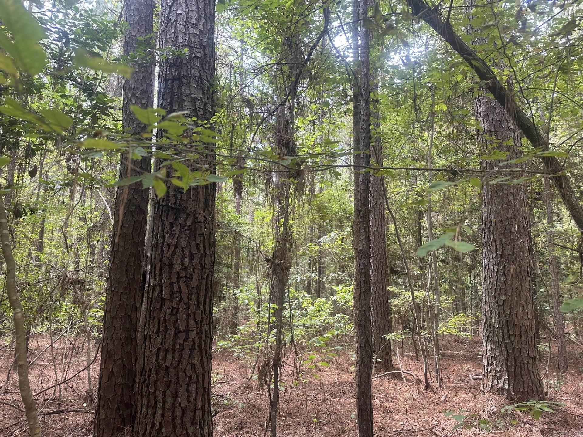 1  Bethel Rd  Mt. Holly, AR