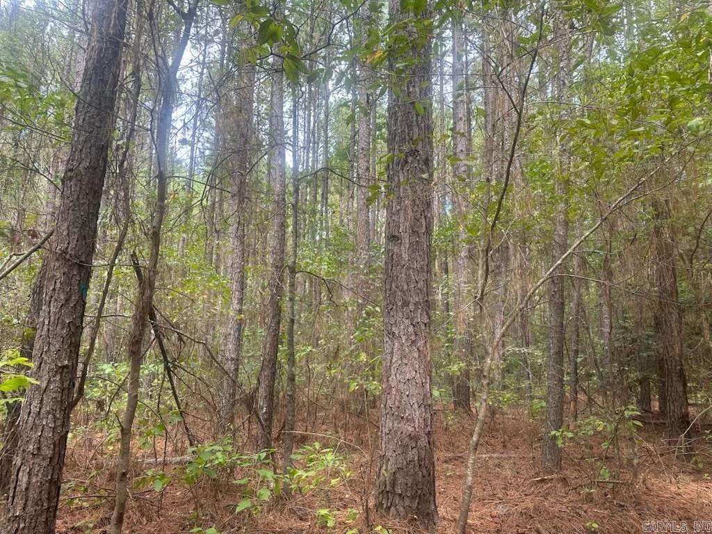 1  Bethel Rd  Mt. Holly, AR