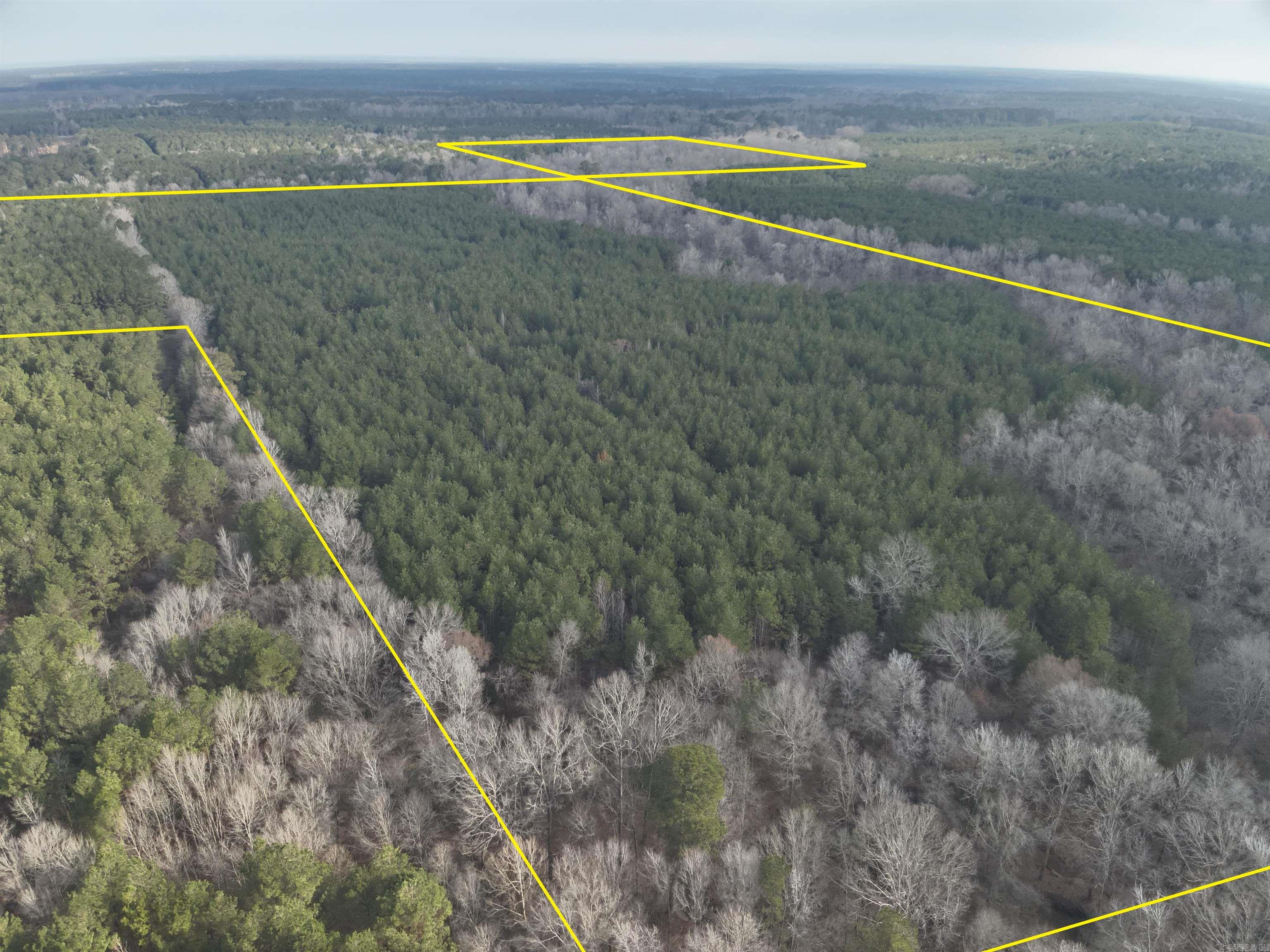1  Bethel Rd  Mt. Holly, AR