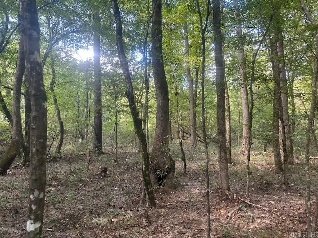 1  Bethel Rd  Mt. Holly, AR