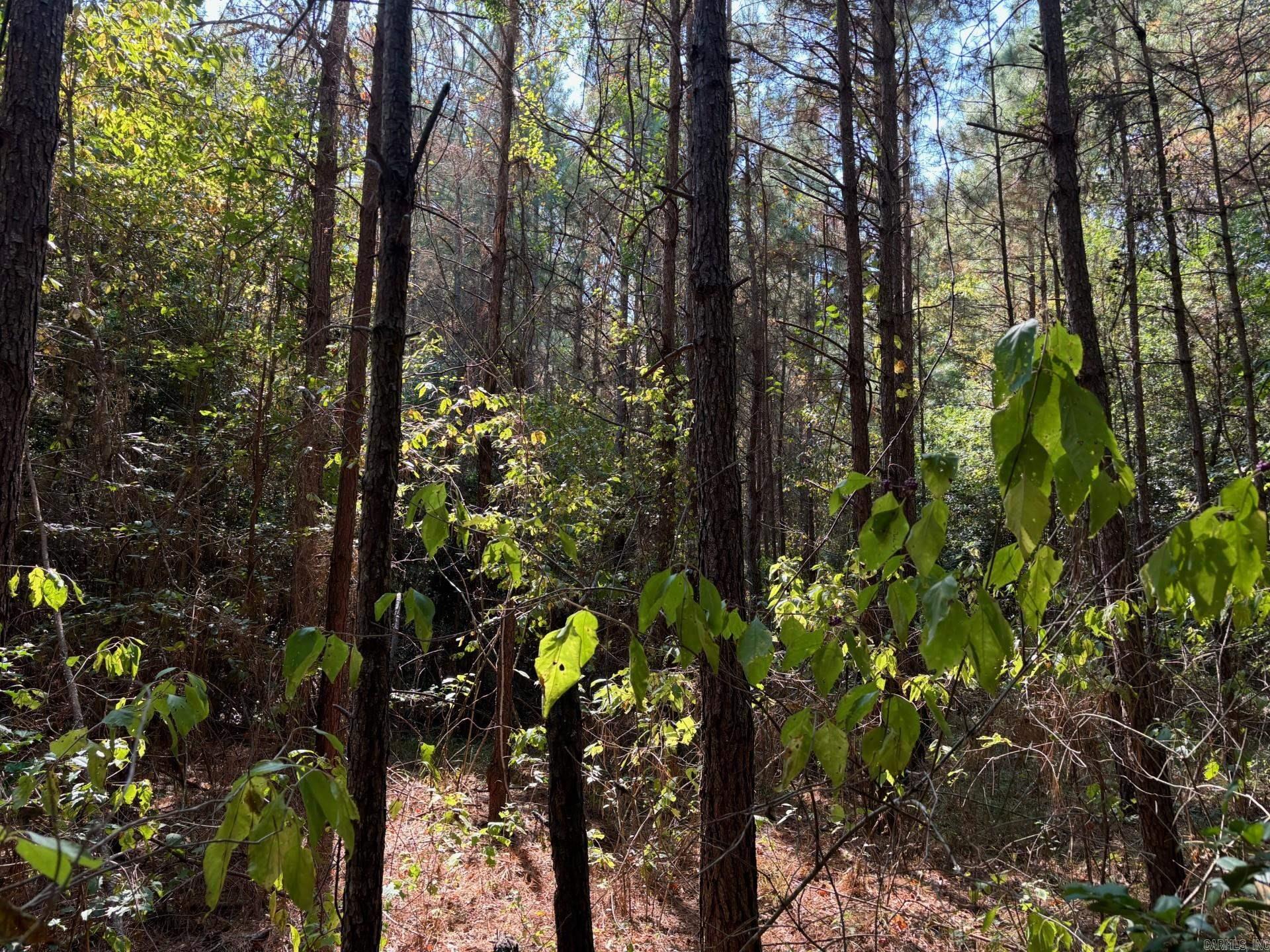 1  Bethel Rd  Mt. Holly, AR