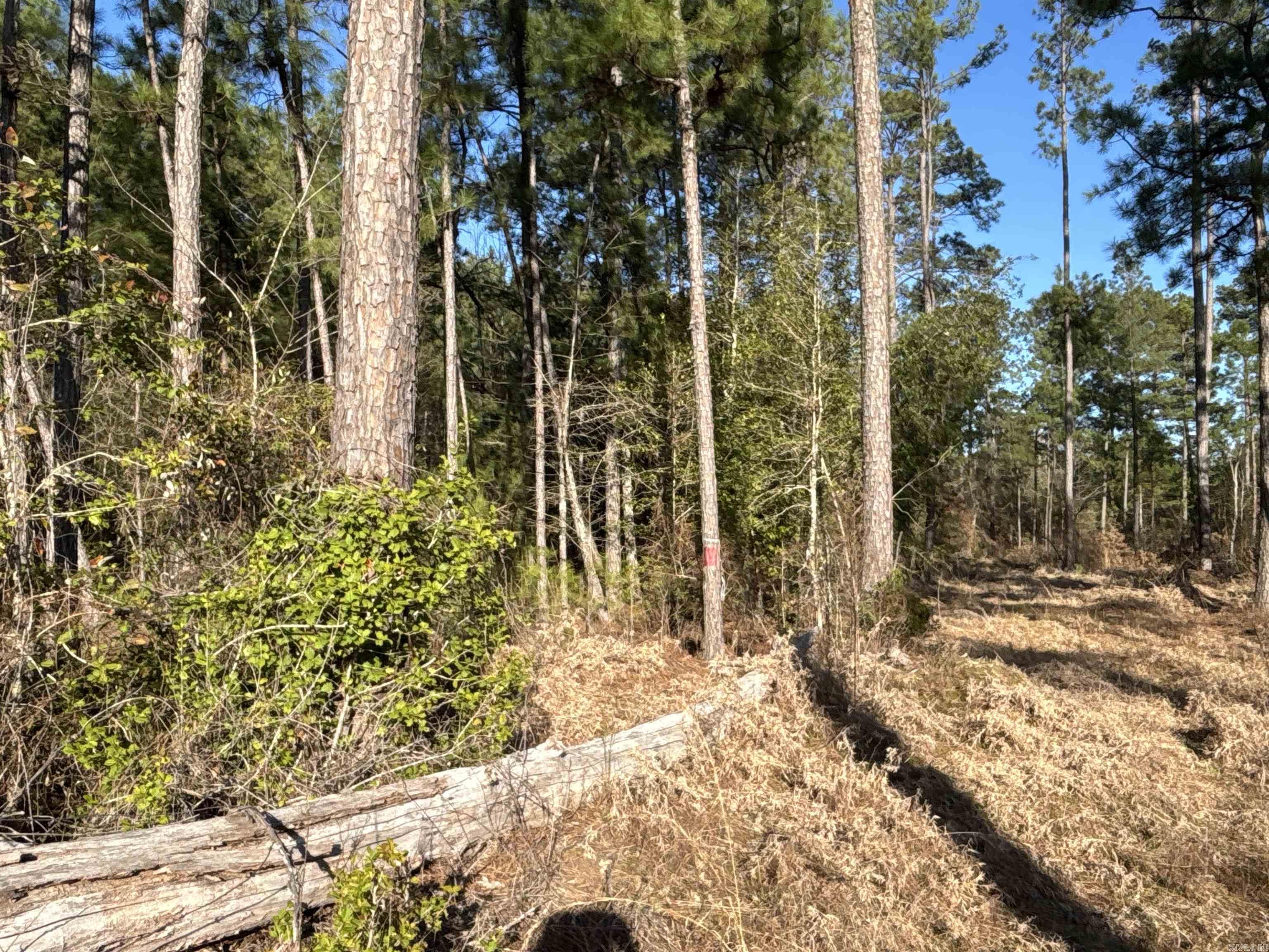 1  West Dallas County Line  Sparkman, AR