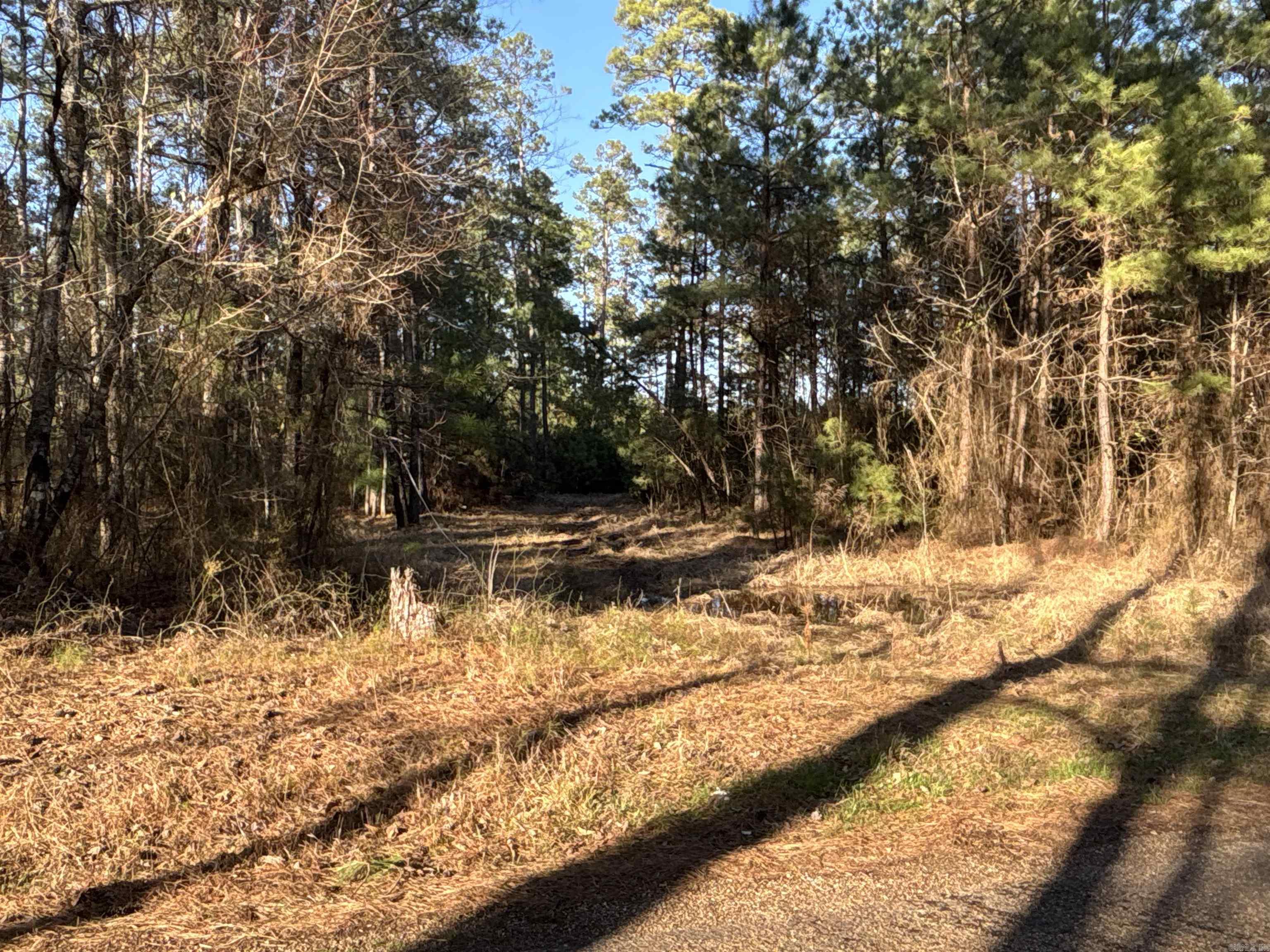 1  West Dallas County Line  Sparkman, AR