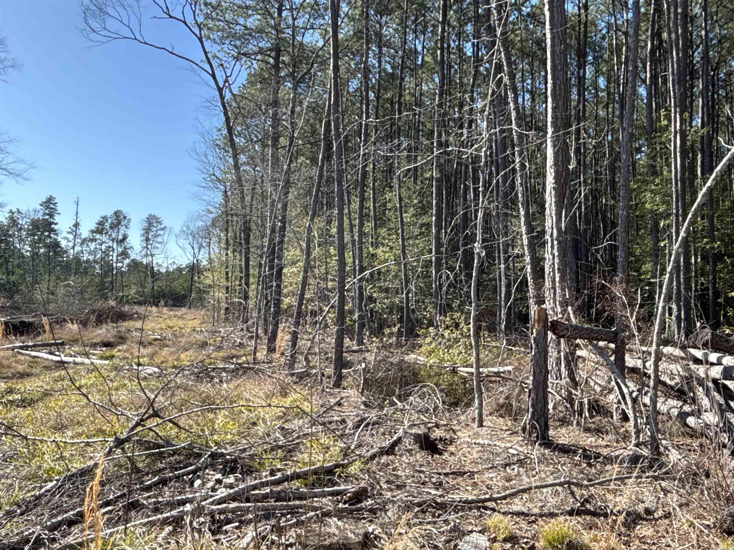 1  West Dallas County Line 20  Sparkman, AR