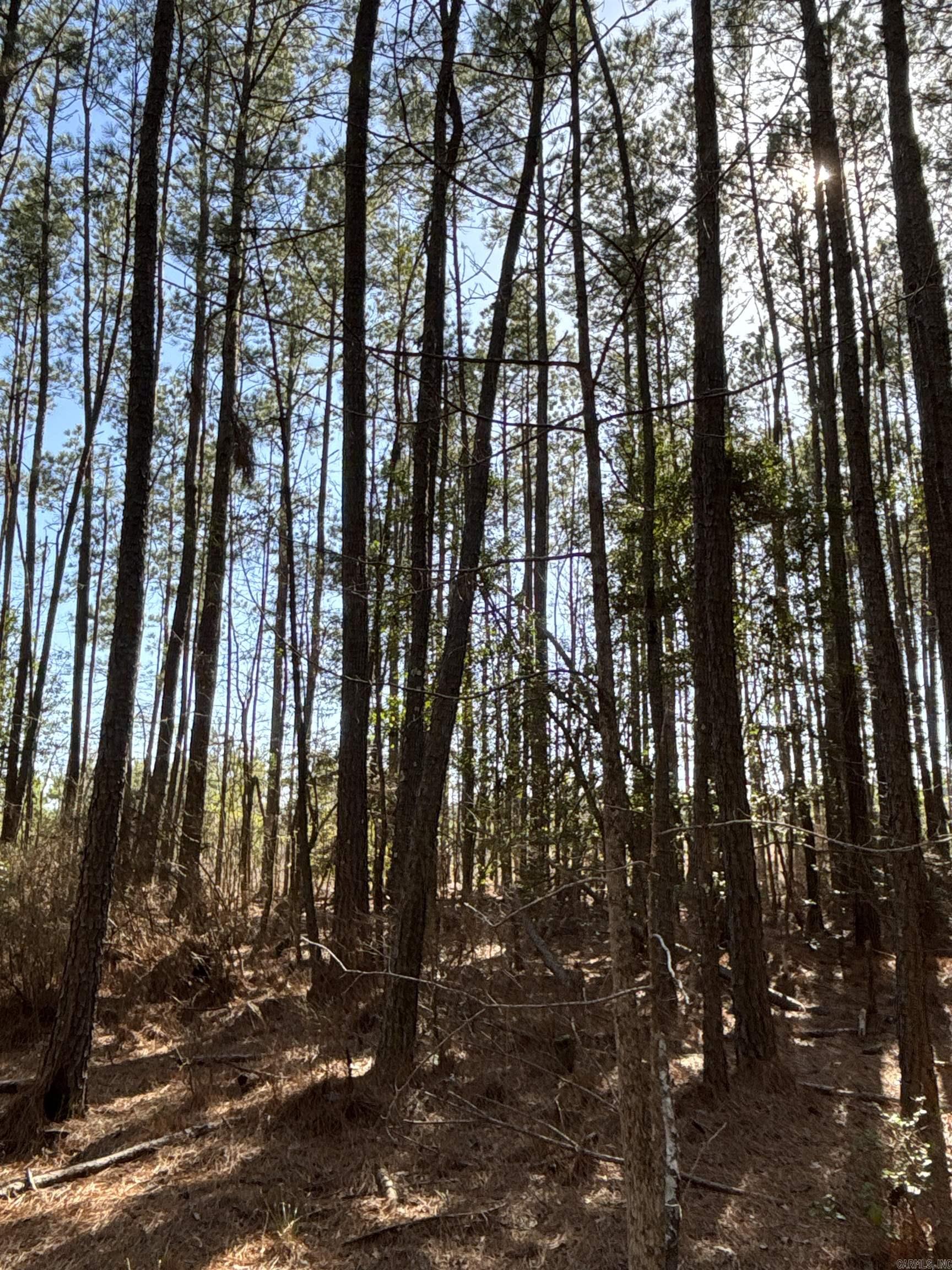 1  West Dallas County Line 20  Sparkman, AR