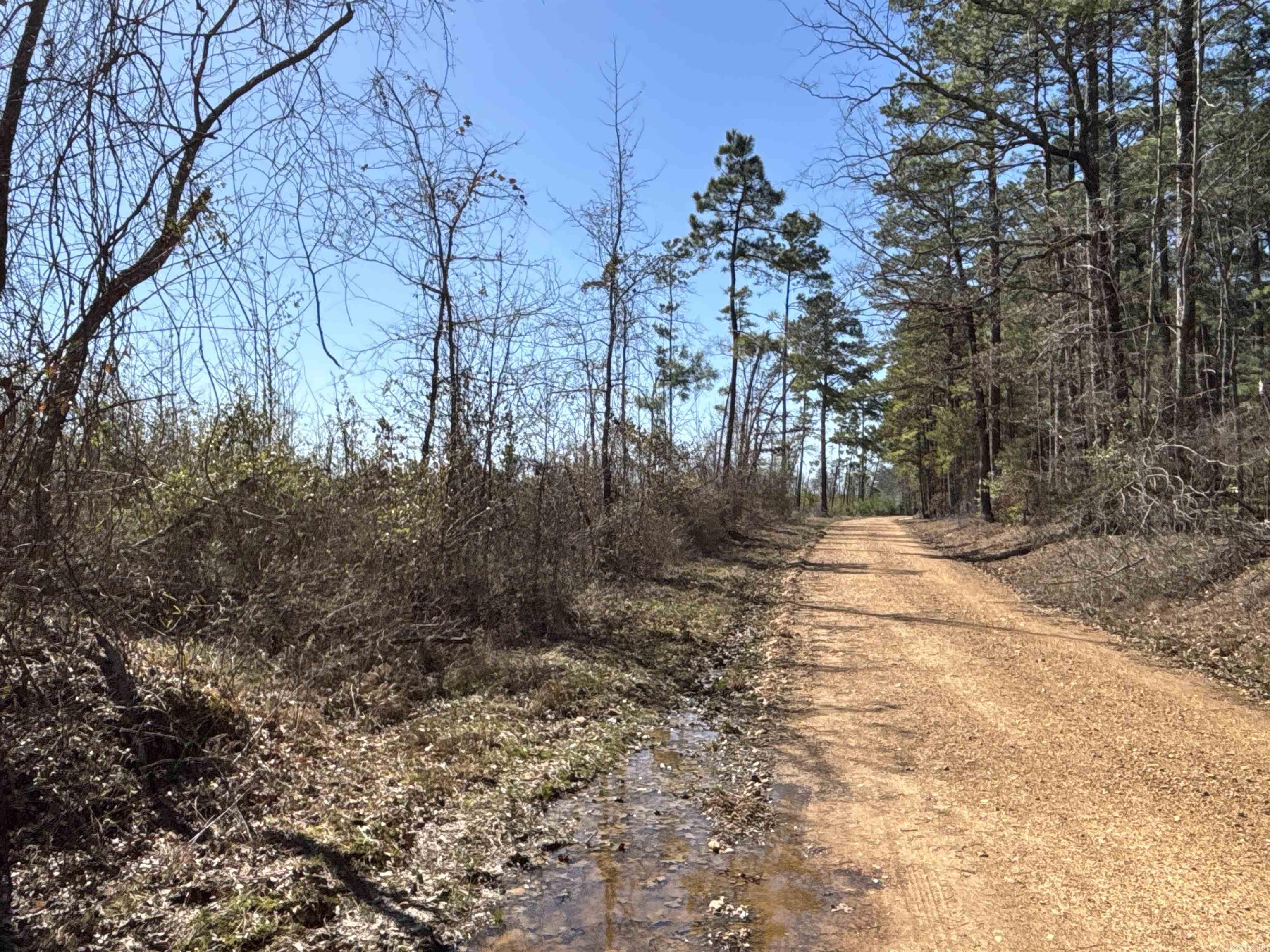1  Palmetto Rd  Sparkman, AR