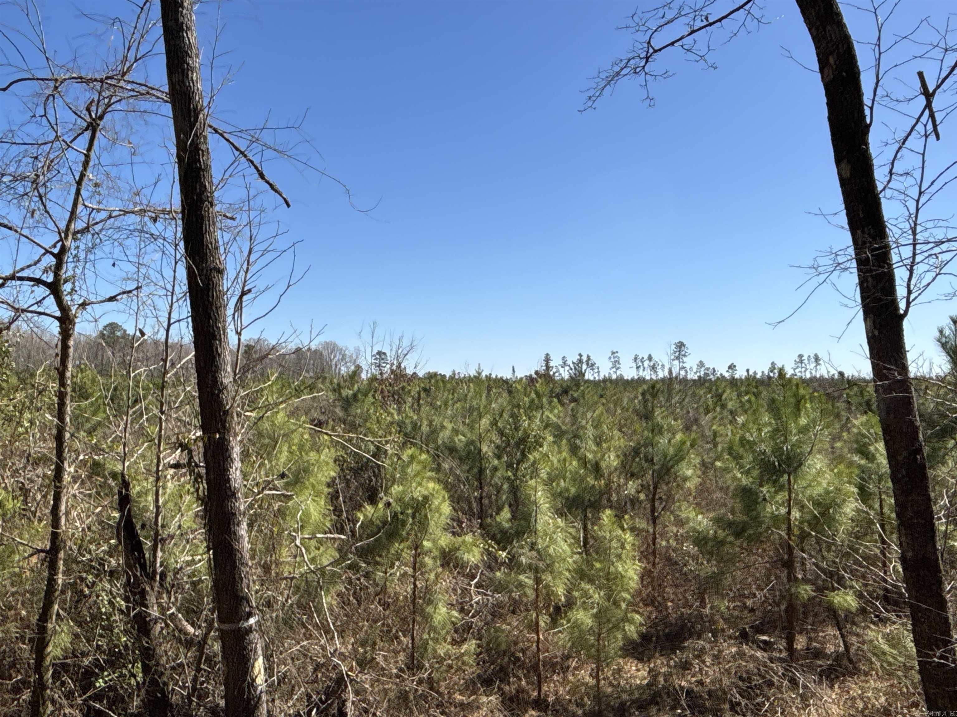 1  Palmetto Rd  Sparkman, AR