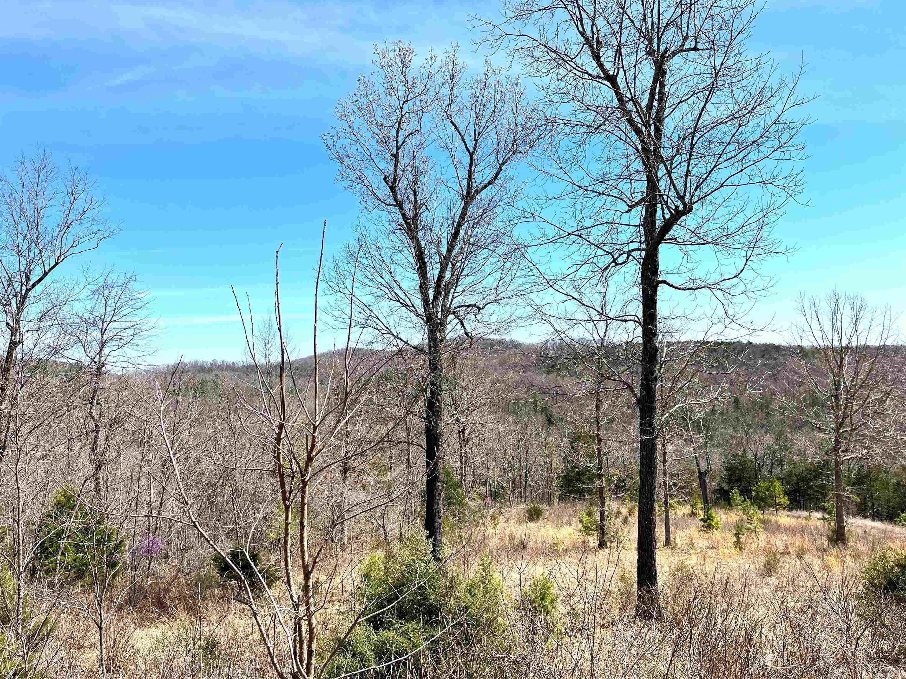 9205  Hwy 9  Melbourne, AR