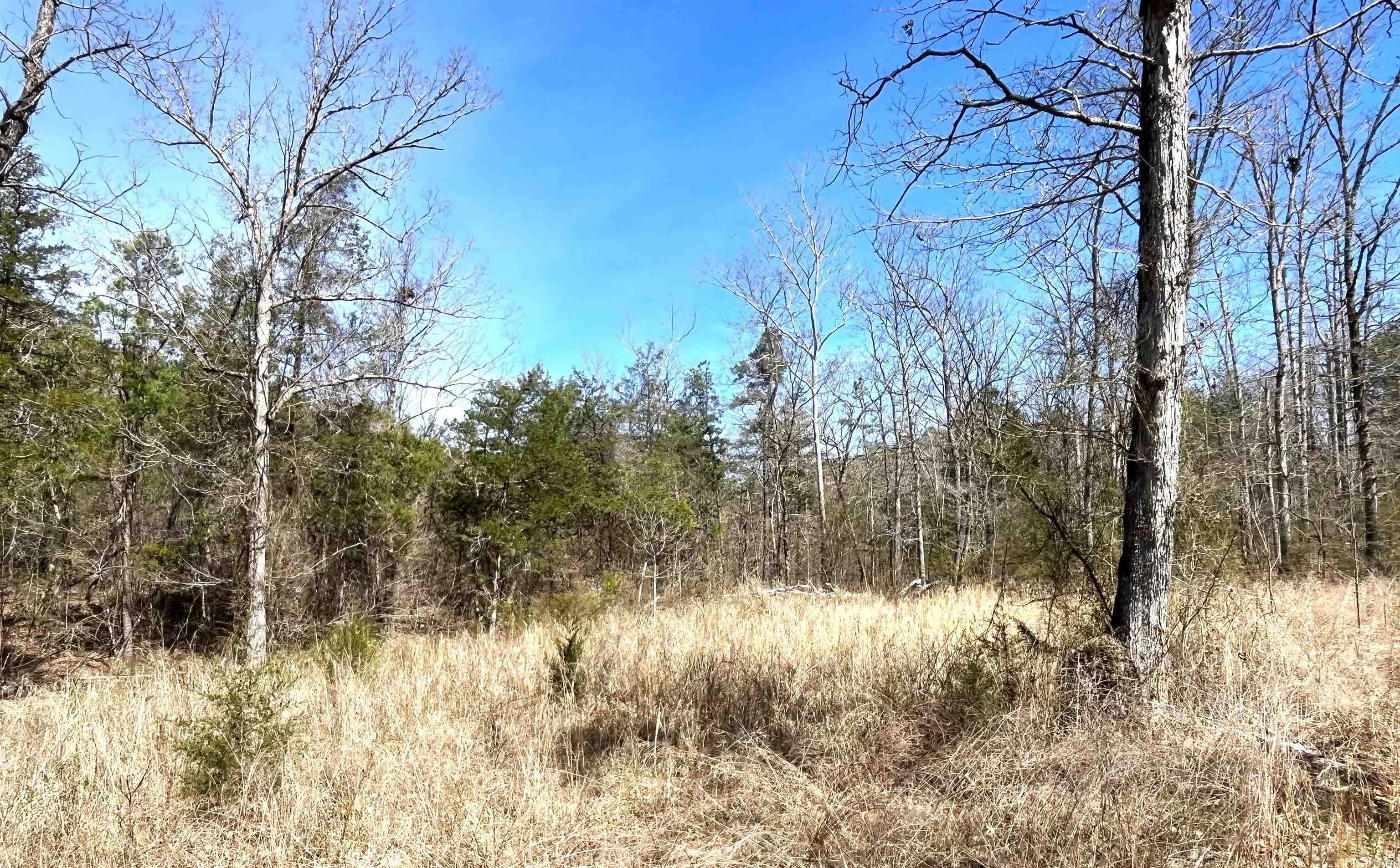 9205  Hwy 9  Melbourne, AR
