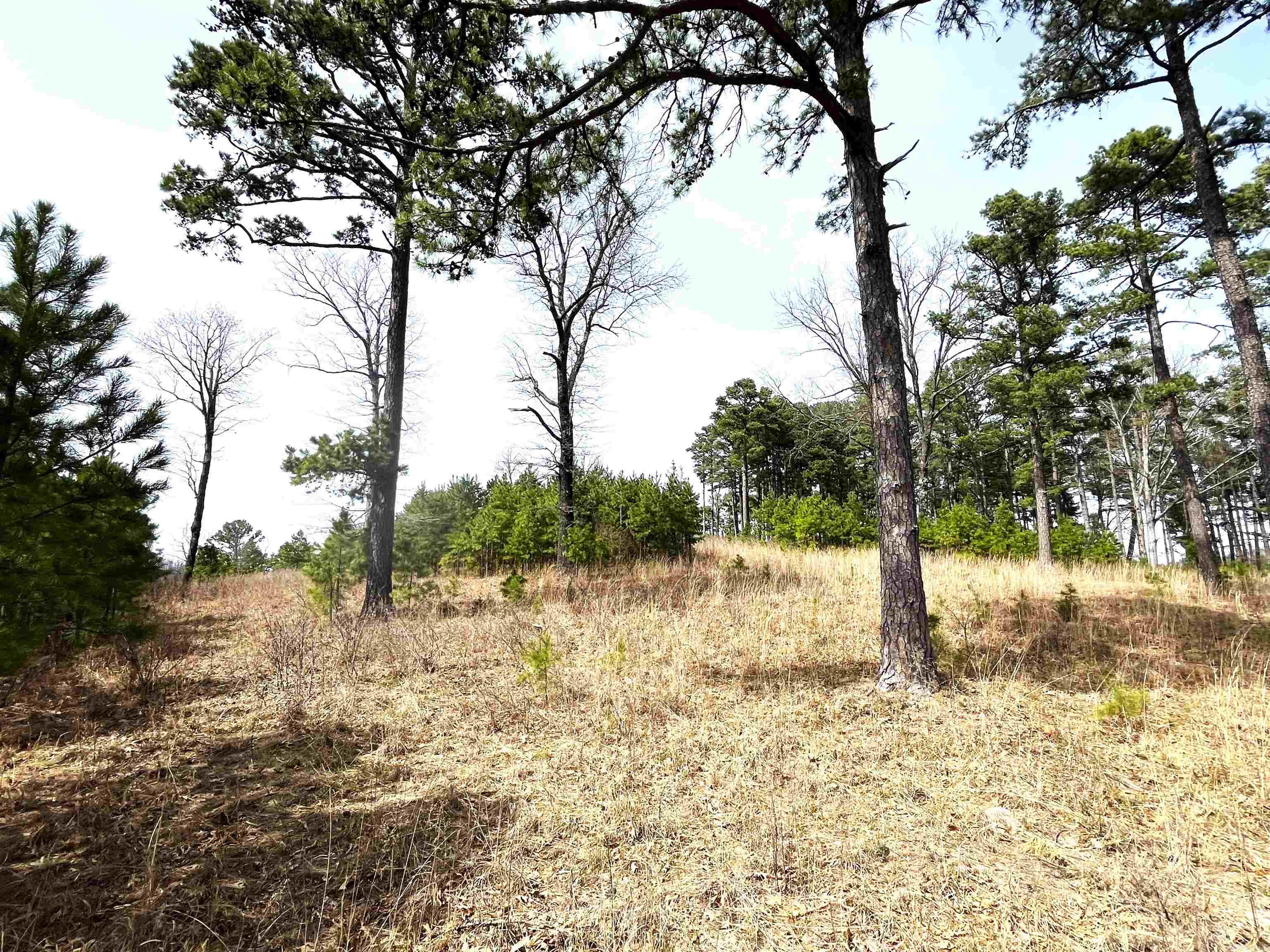 9205  Hwy 9  Melbourne, AR