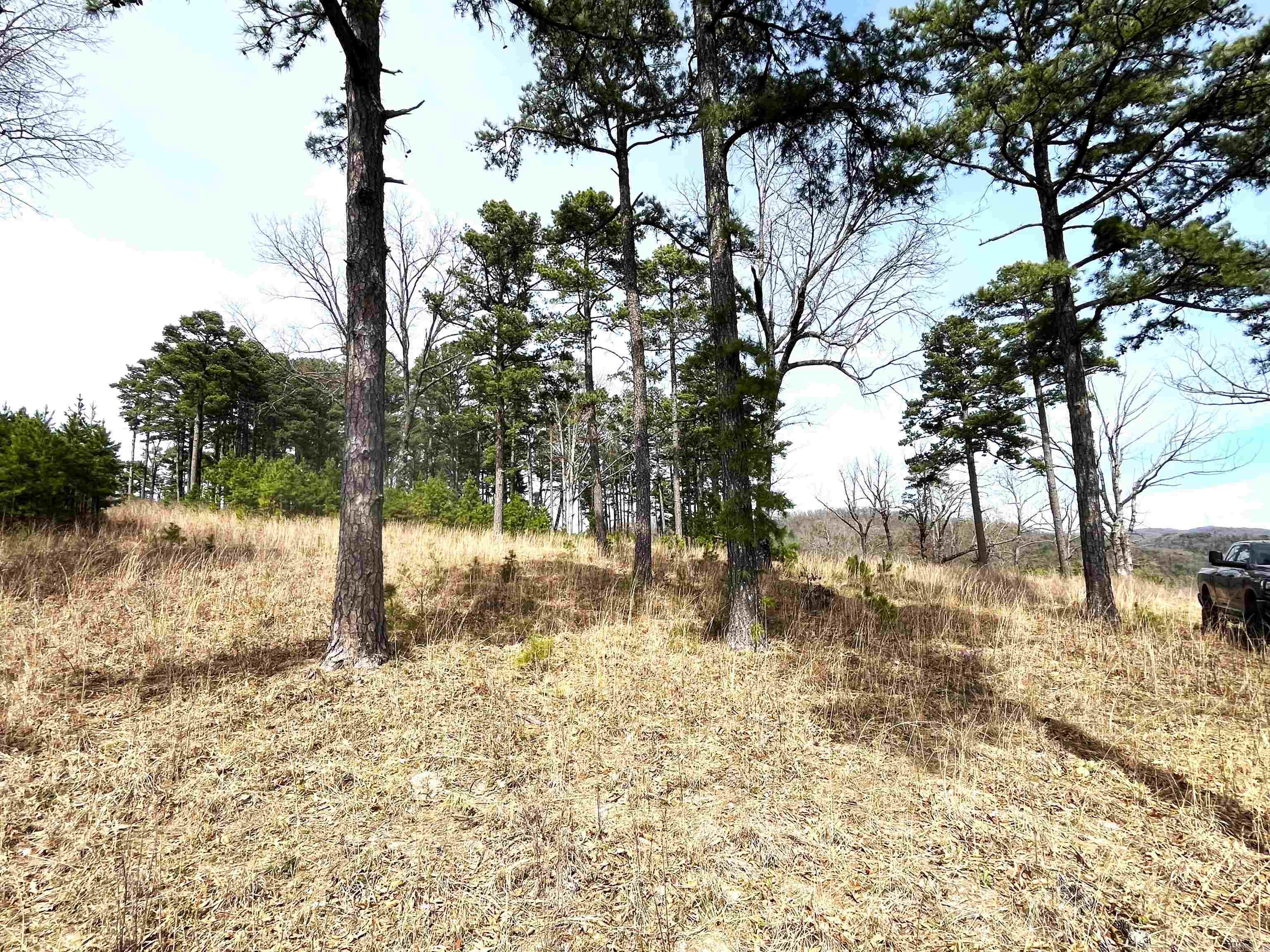 9205  Hwy 9  Melbourne, AR