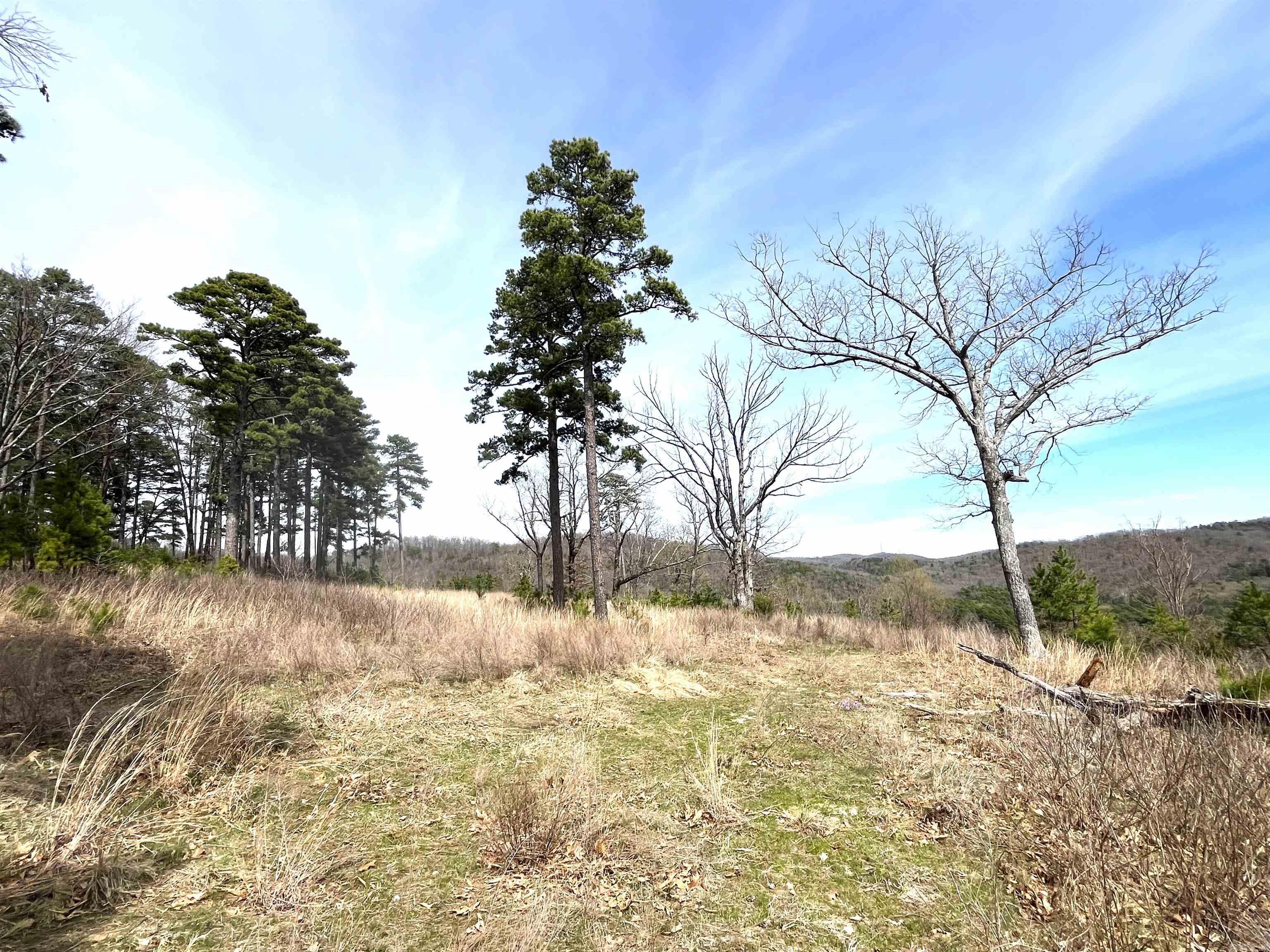 9205  Hwy 9  Melbourne, AR