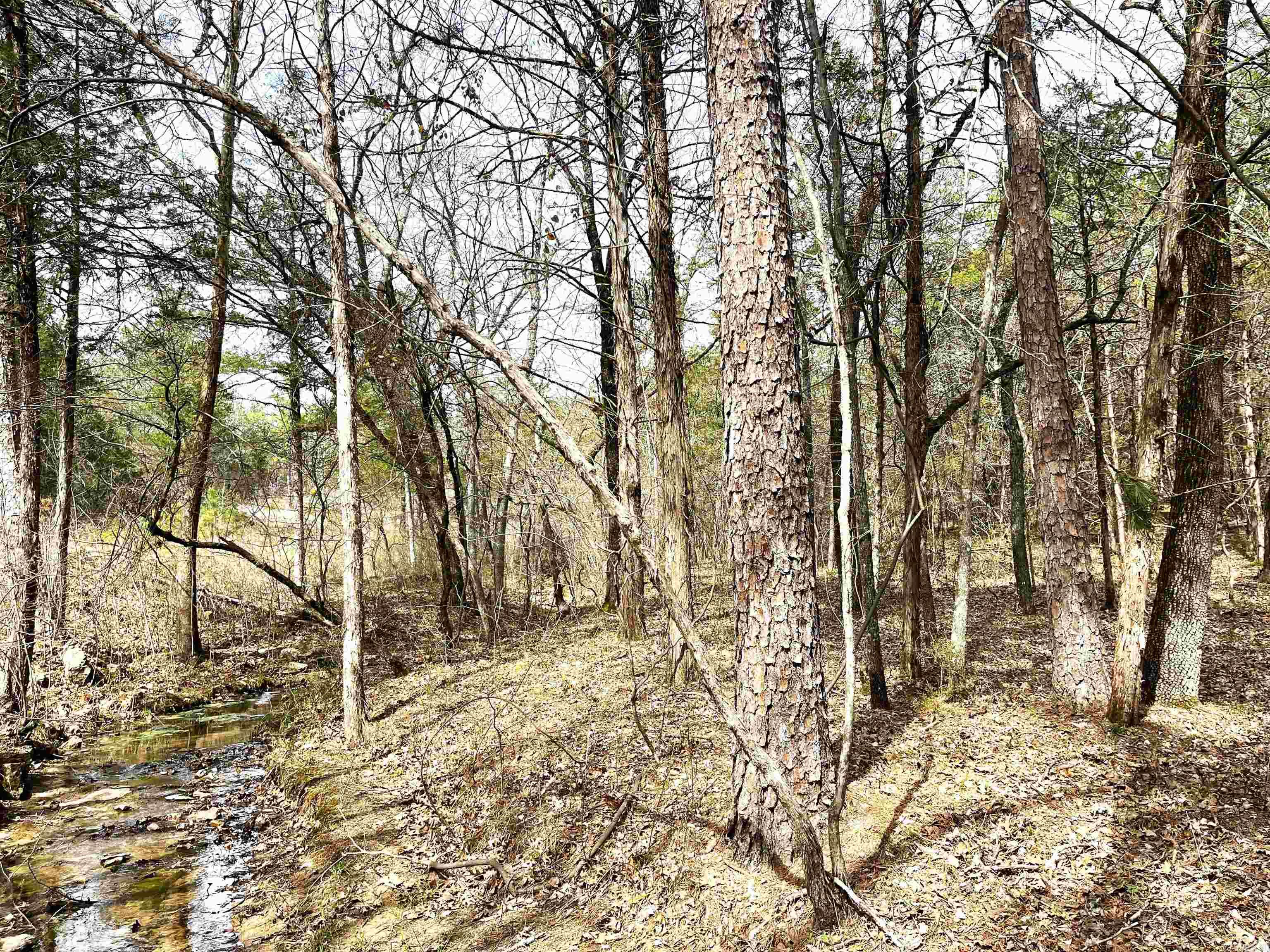9205  Hwy 9  Melbourne, AR