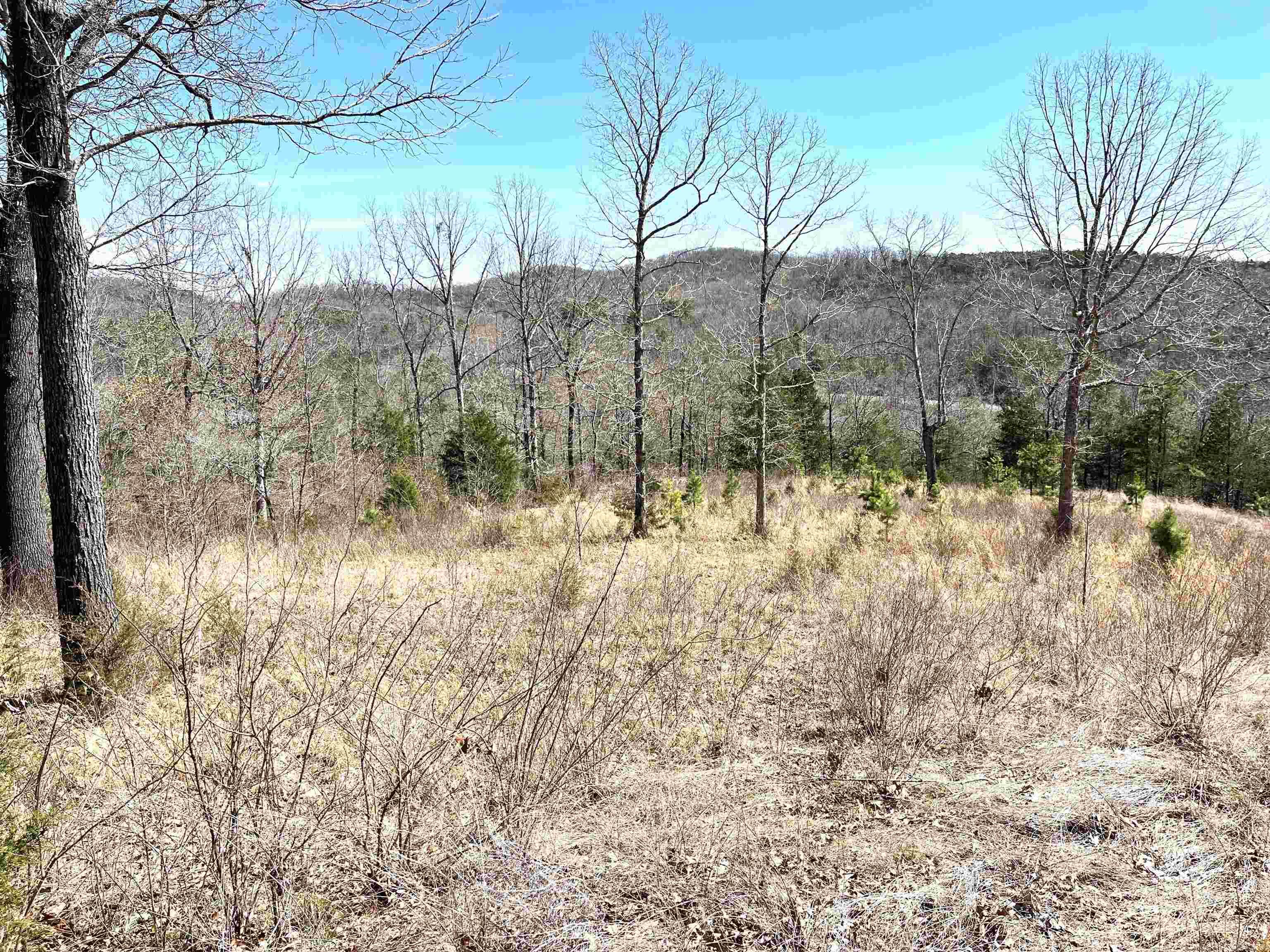 9205  Hwy 9  Melbourne, AR