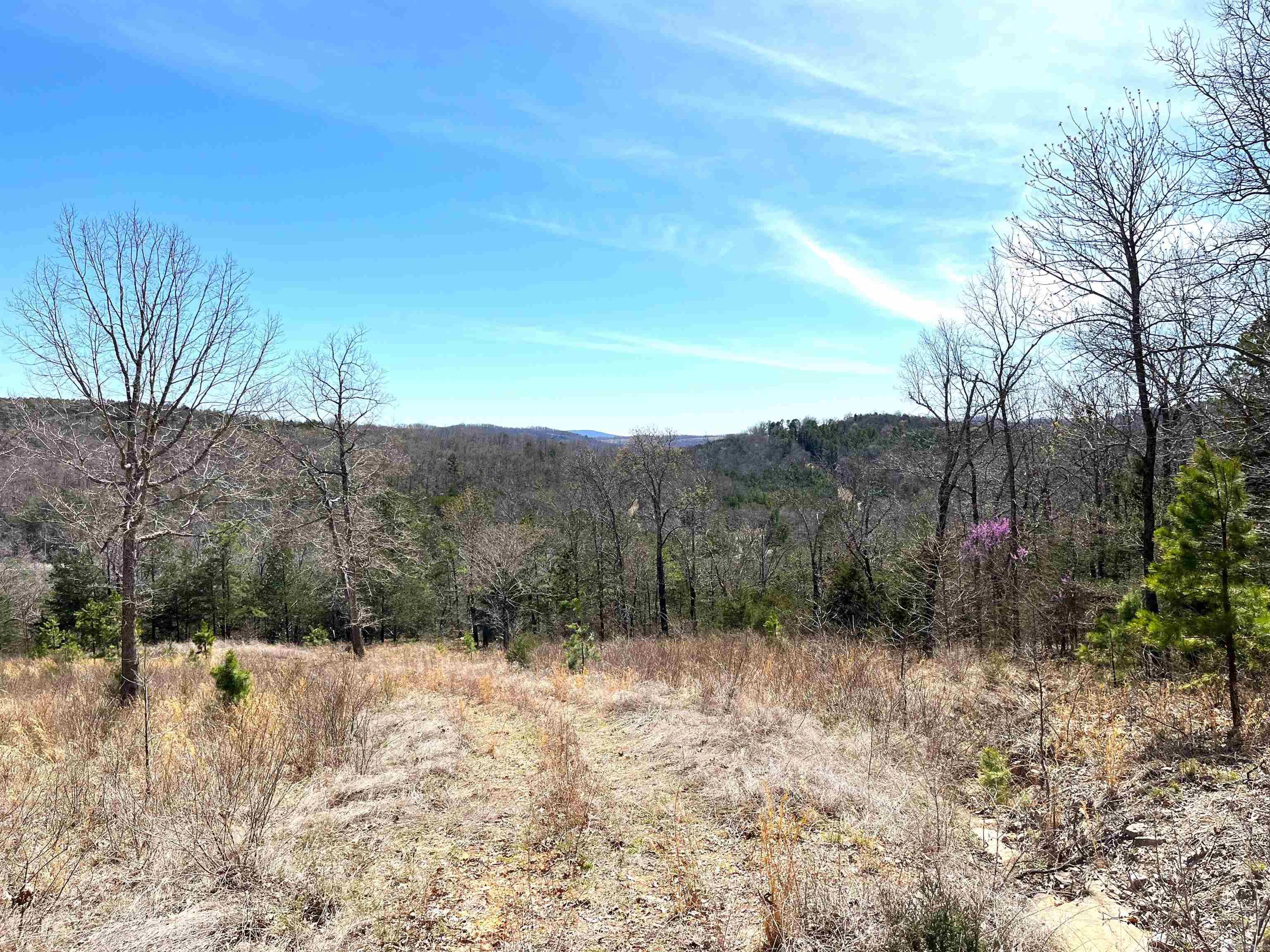 9205  Hwy 9  Melbourne, AR