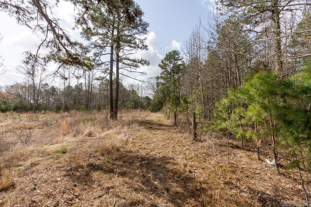 390  Fox Chase  Greers Ferry, AR