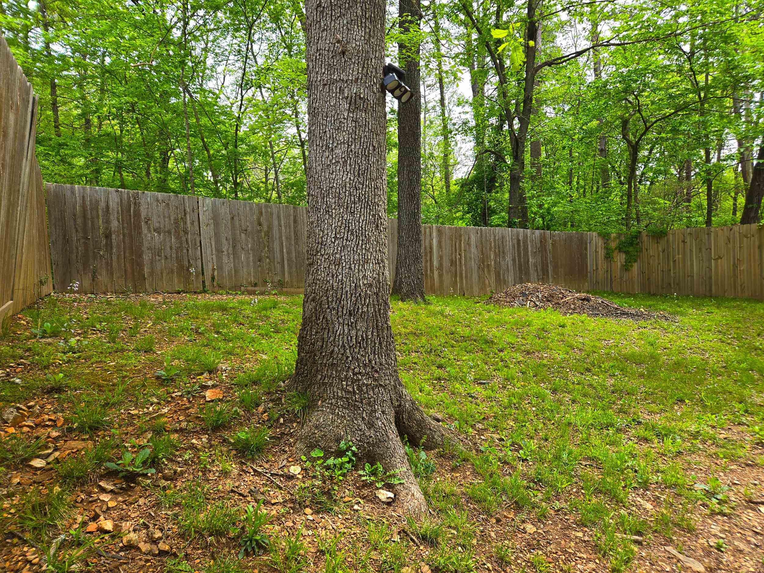 81 E Lakeshore  Cherokee Village, AR