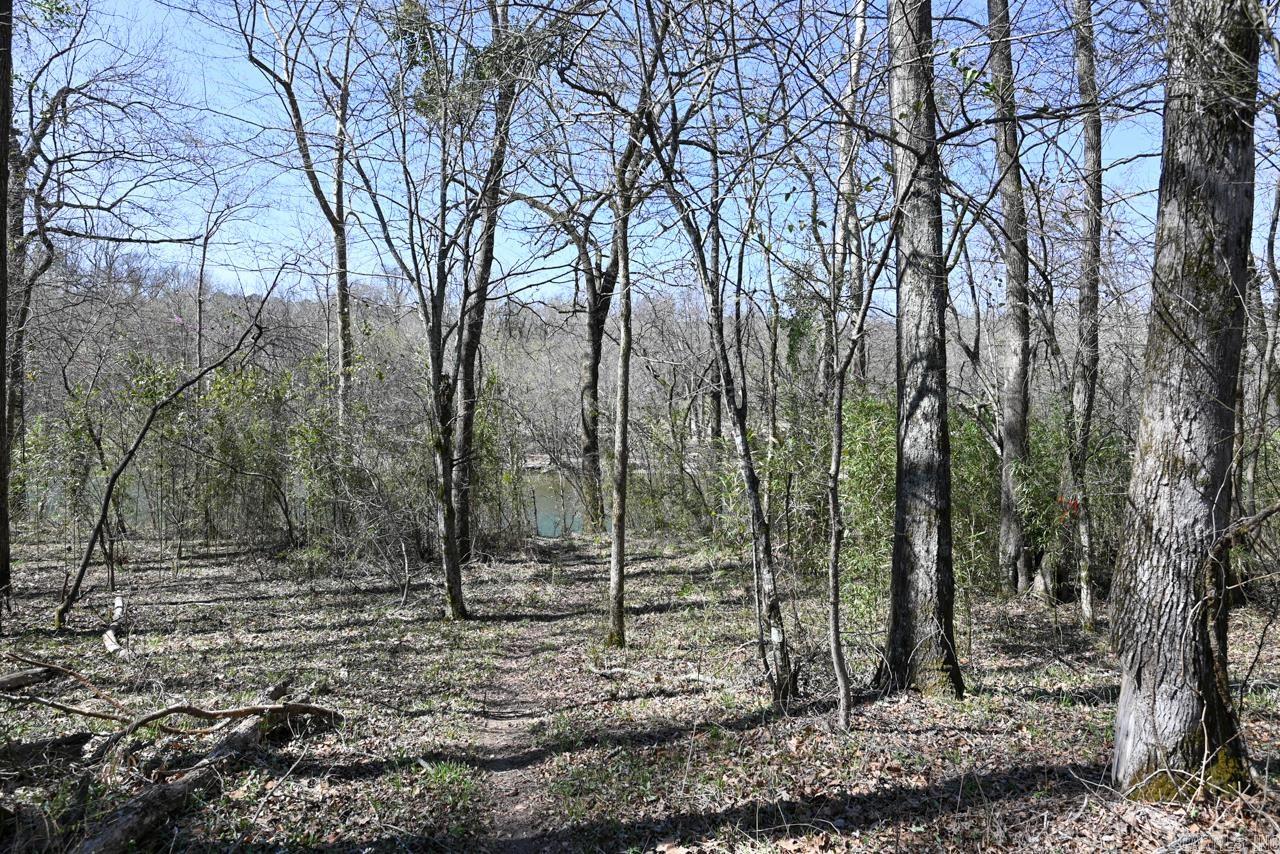 XXX  TRIPLE RIVER D79 Sims, AR