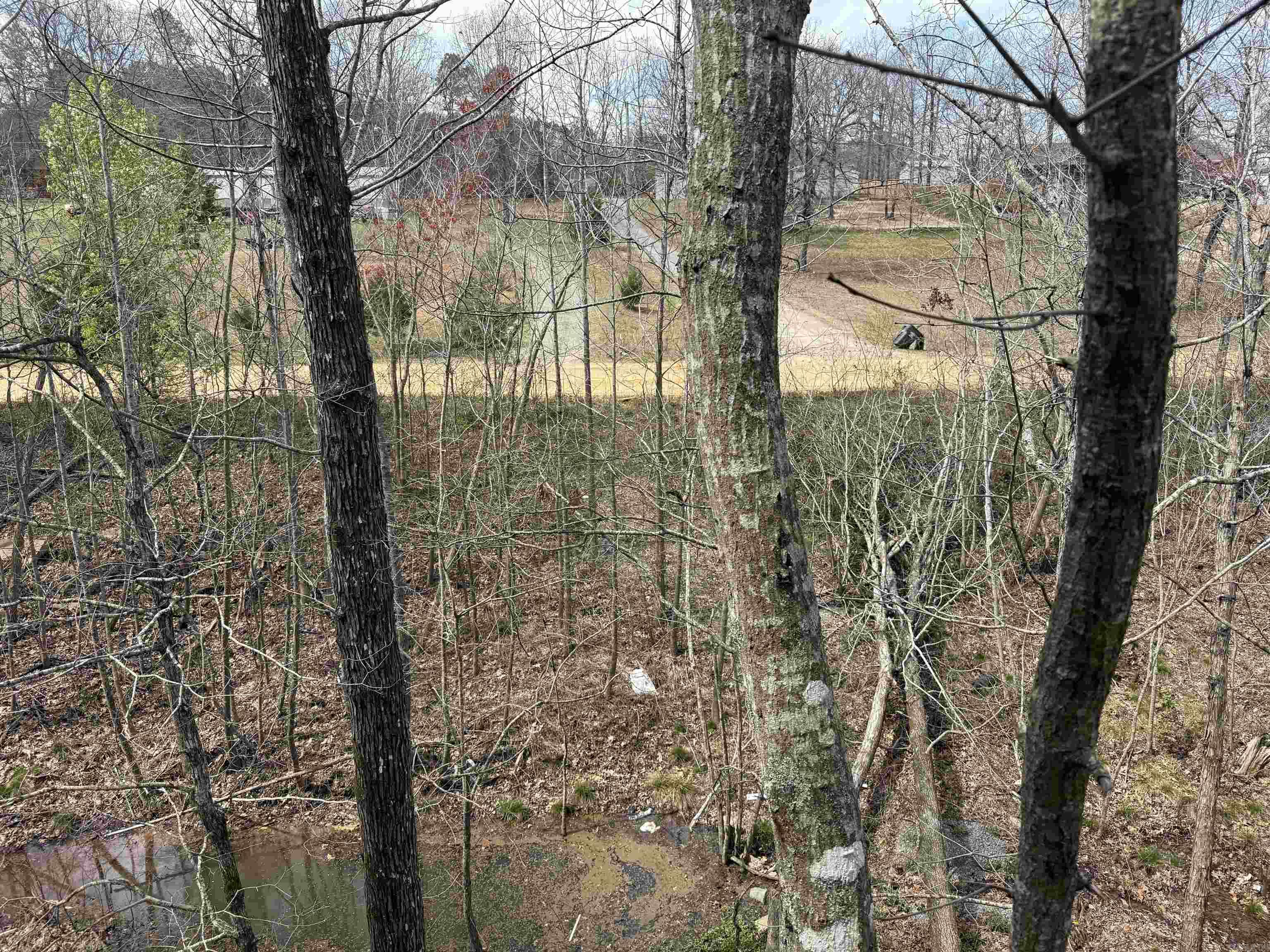 3010  McPherson Ridge  Mabelvale, AR
