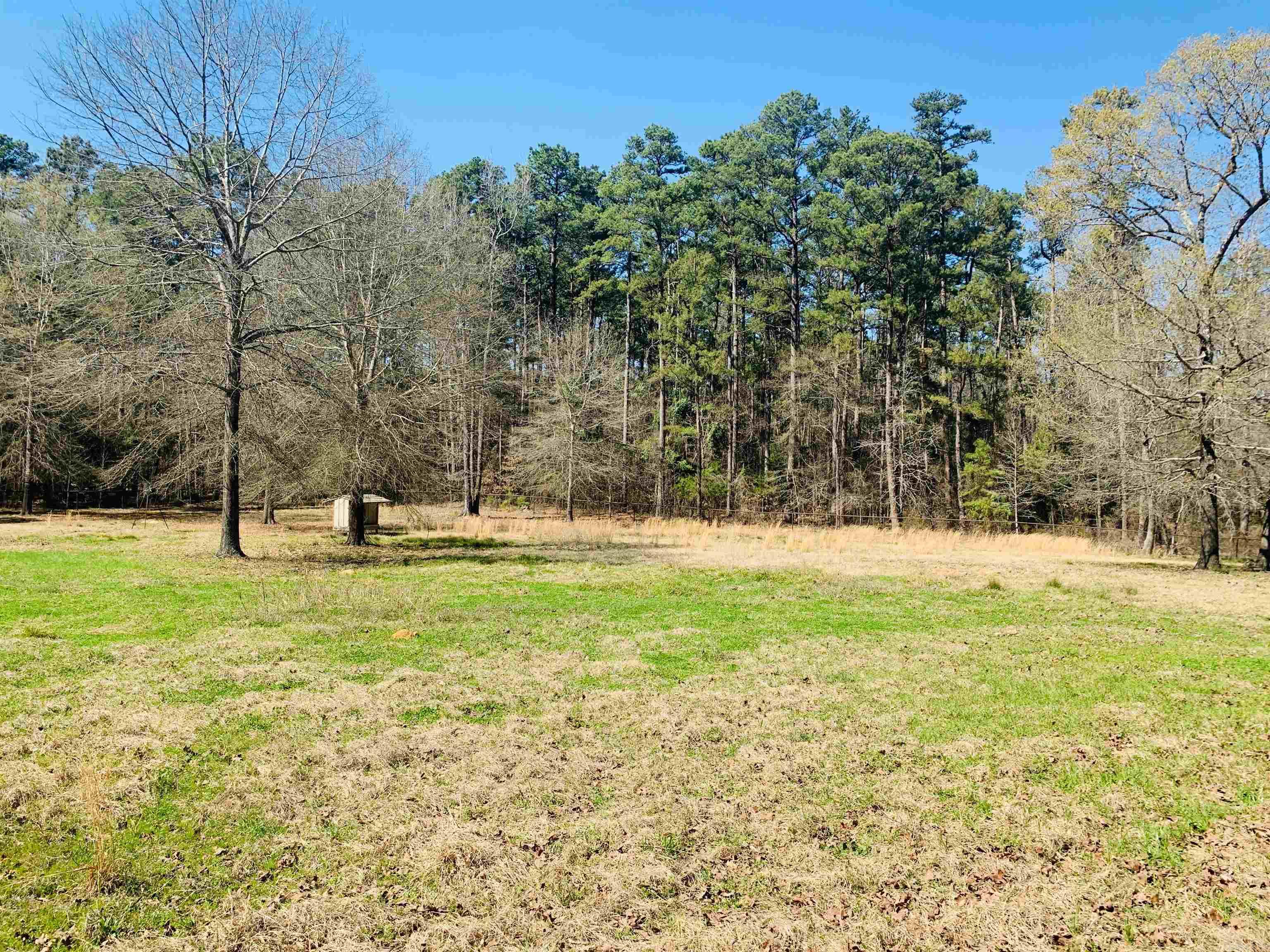 2656  TX Hwy 43  Atlanta, TX