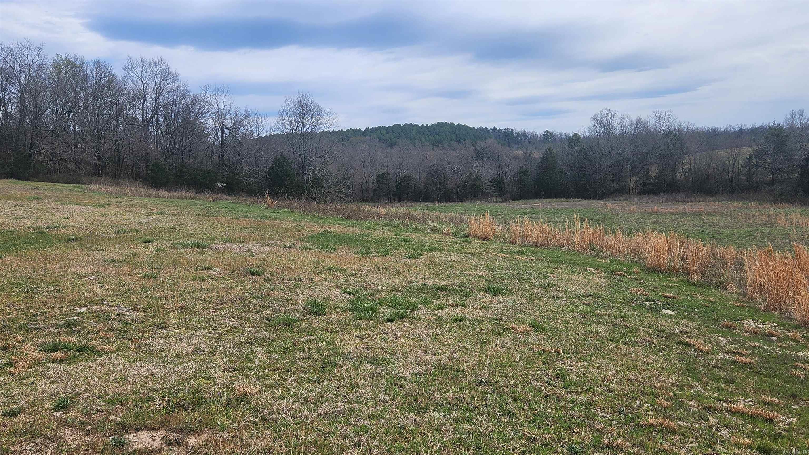 44  Duncan Lane  Story, AR