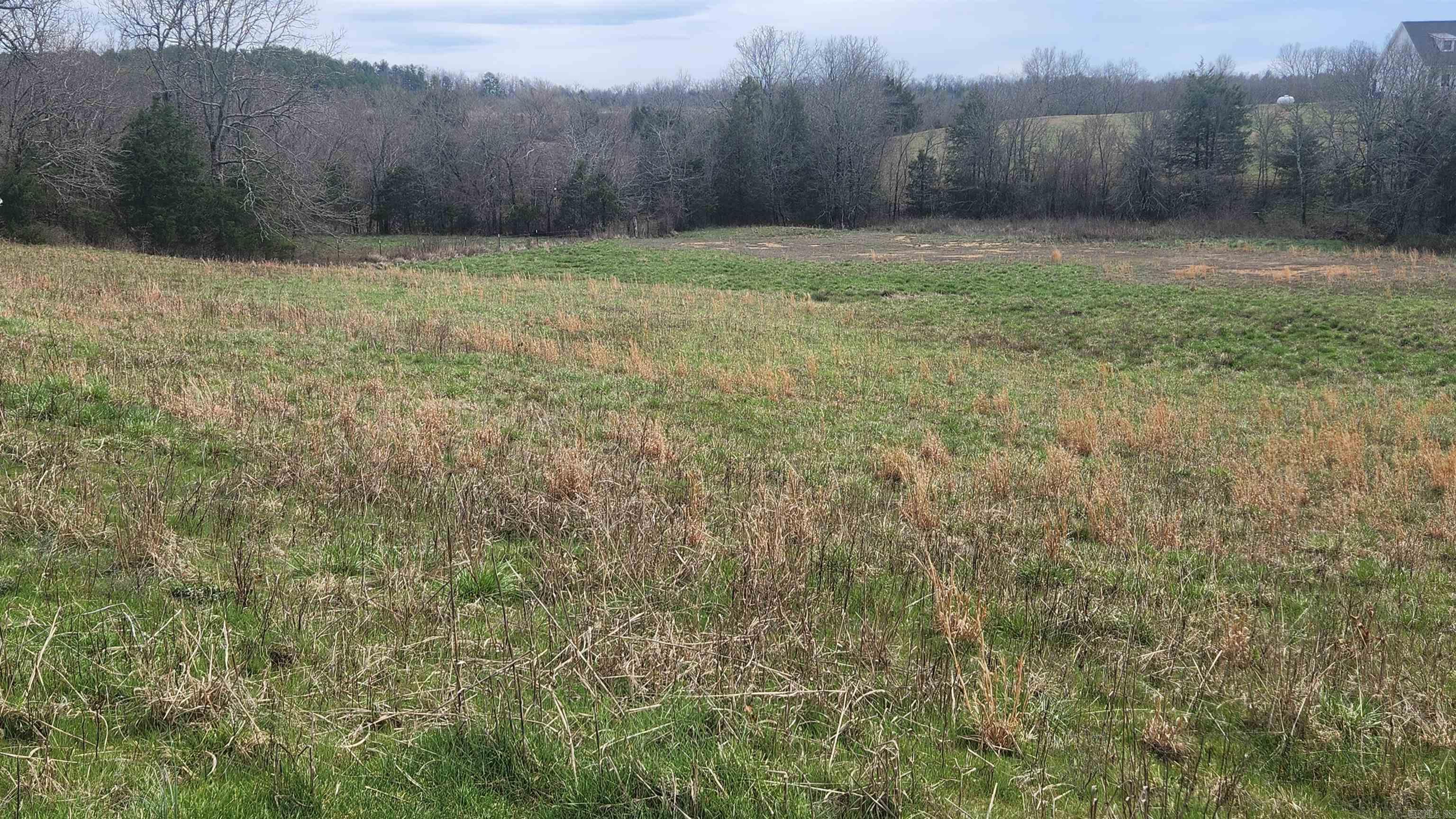 44  Duncan Lane  Story, AR