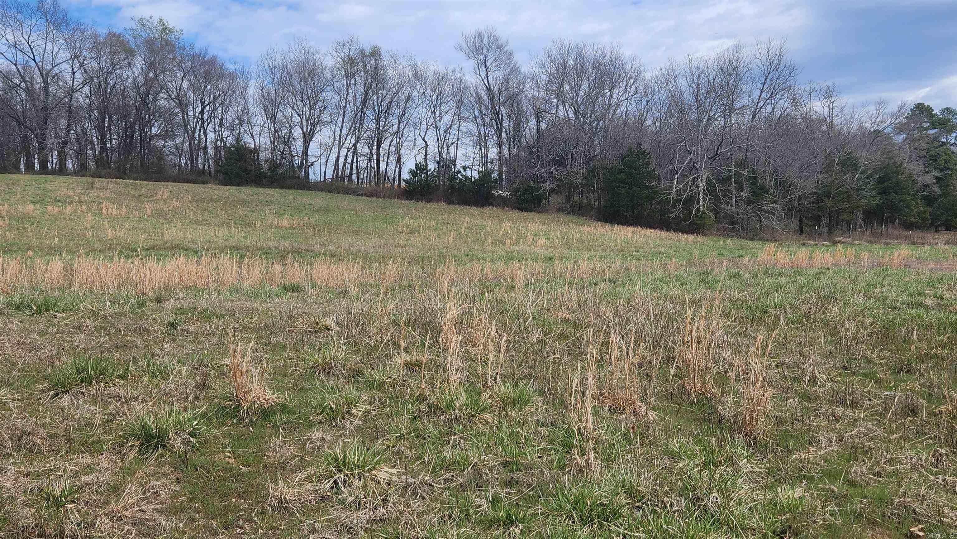 44  Duncan Lane  Story, AR