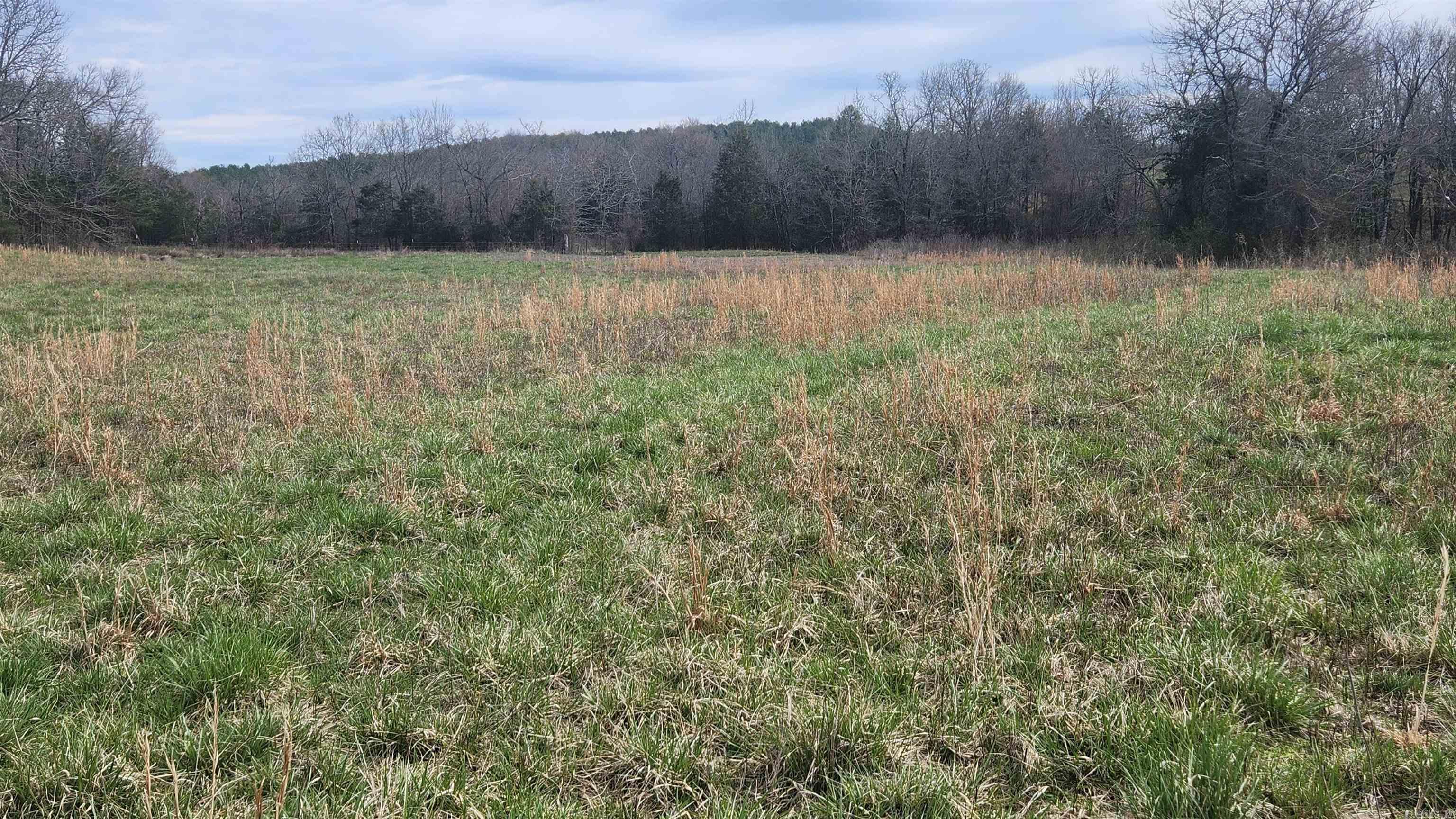 44  Duncan Lane  Story, AR