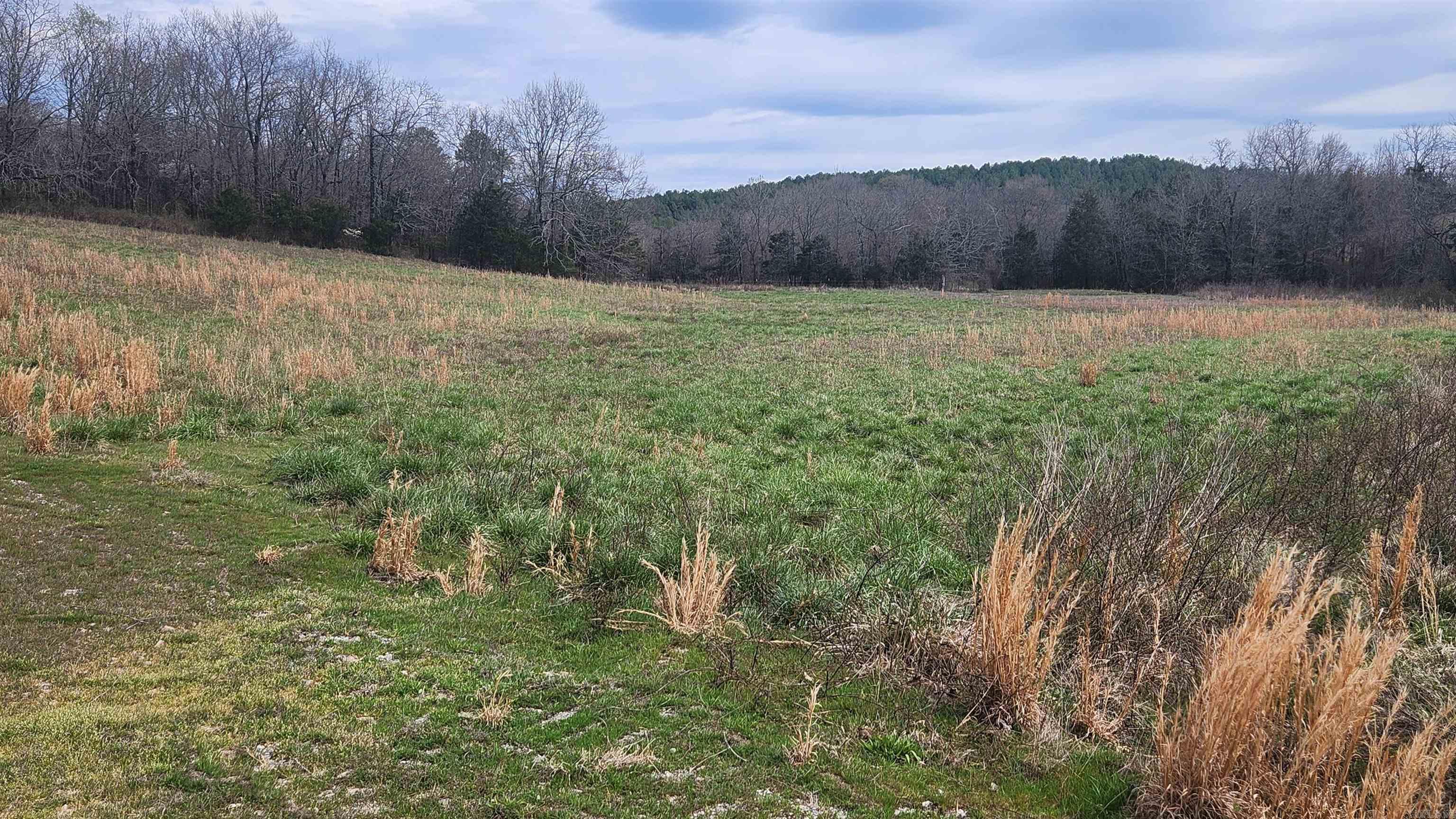 44  Duncan Lane  Story, AR