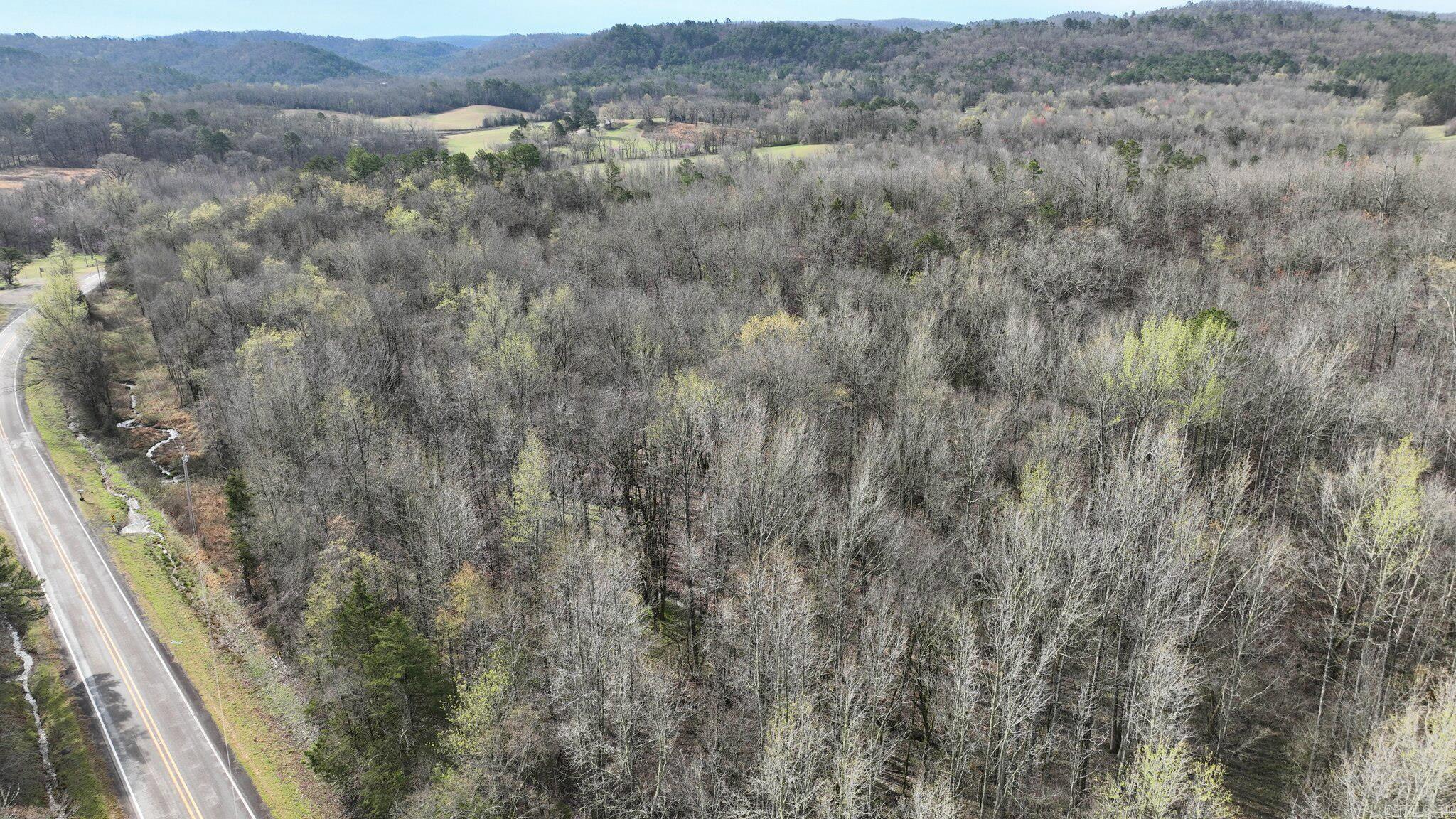 TBD  Highway 8 East  Mena, AR