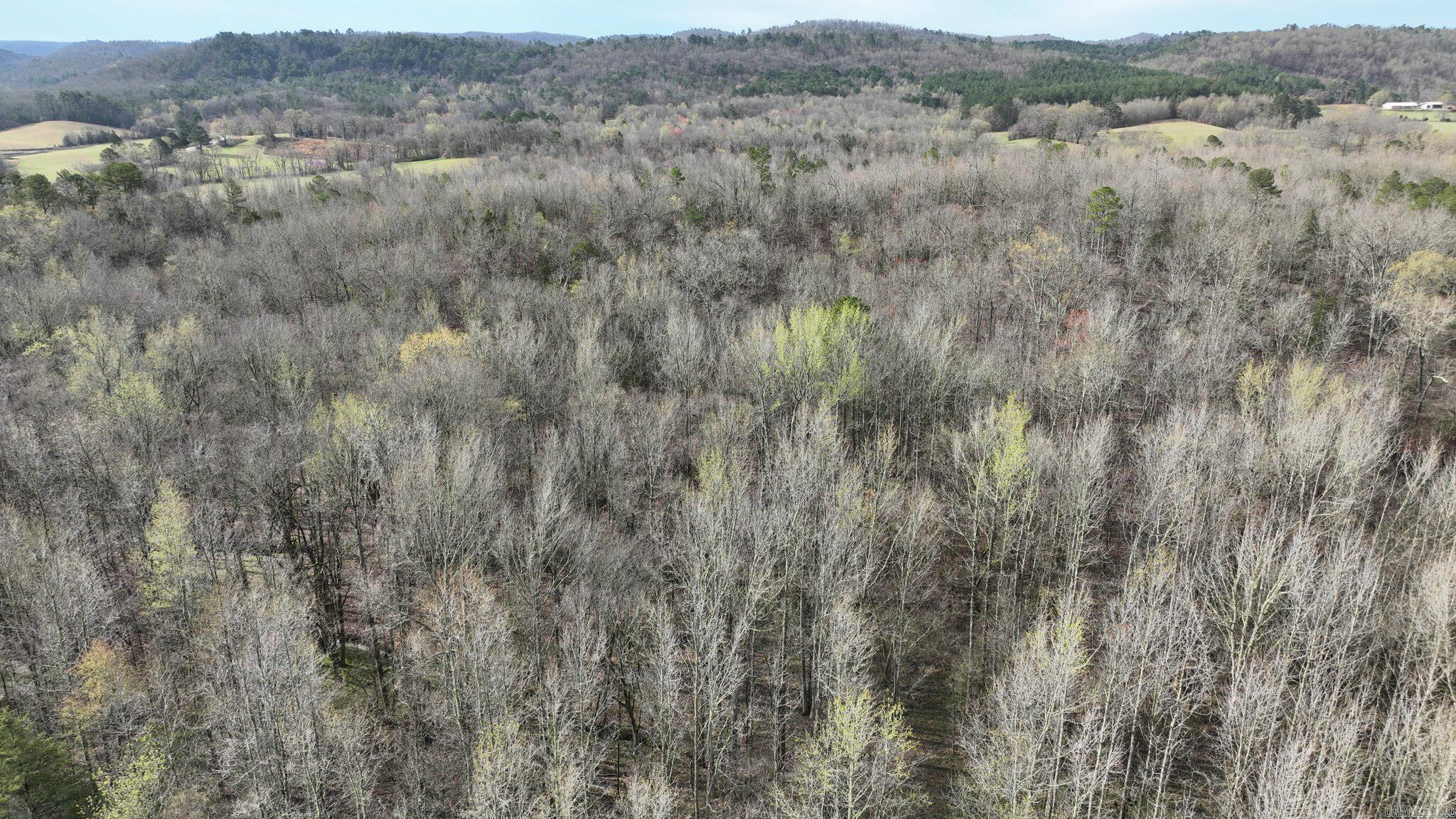 TBD  Highway 8 East  Mena, AR