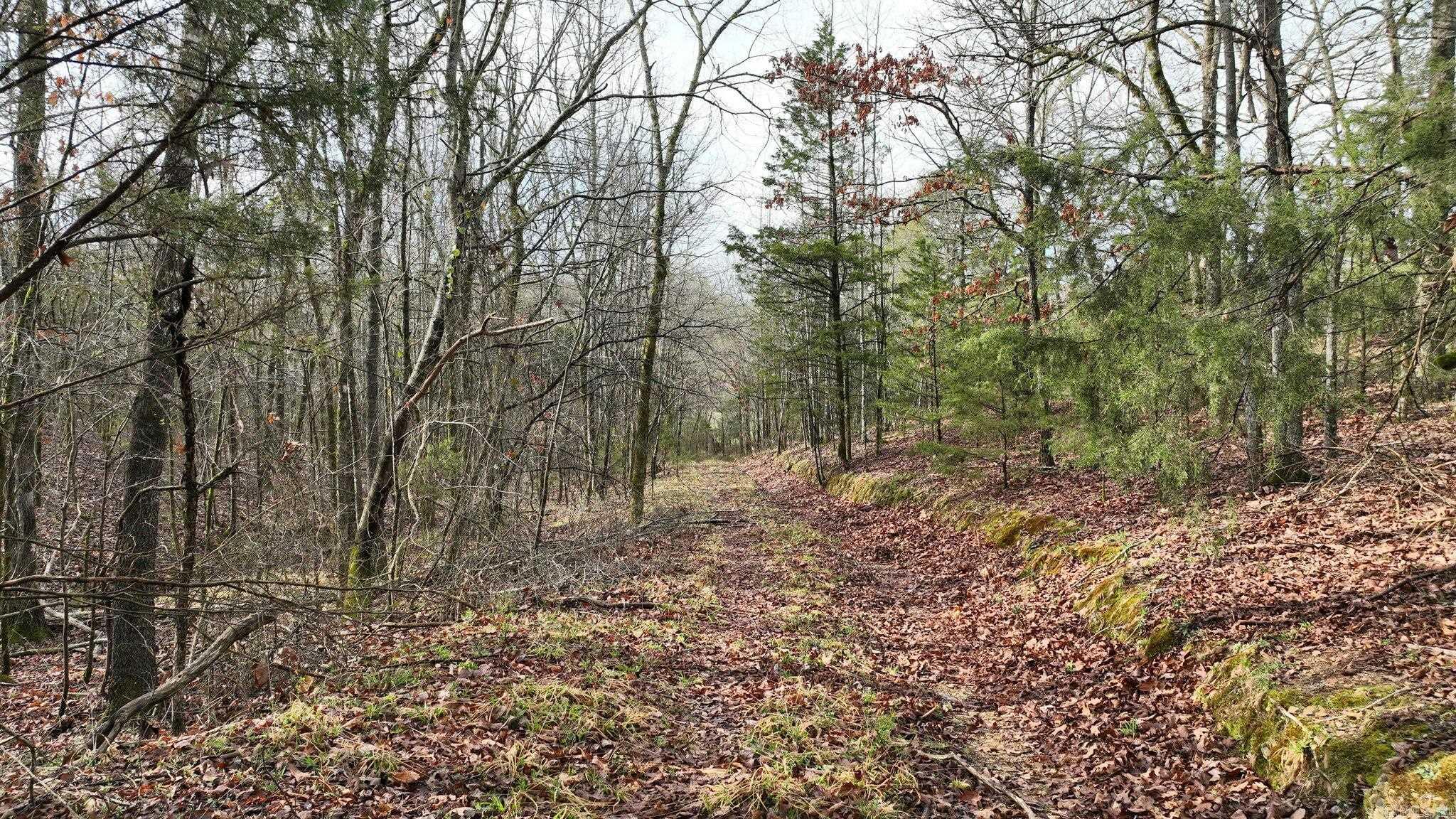 TBD  Highway 8 East  Mena, AR