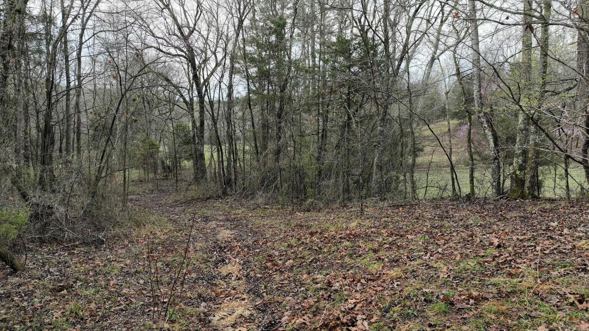 TBD  Highway 8 East  Mena, AR
