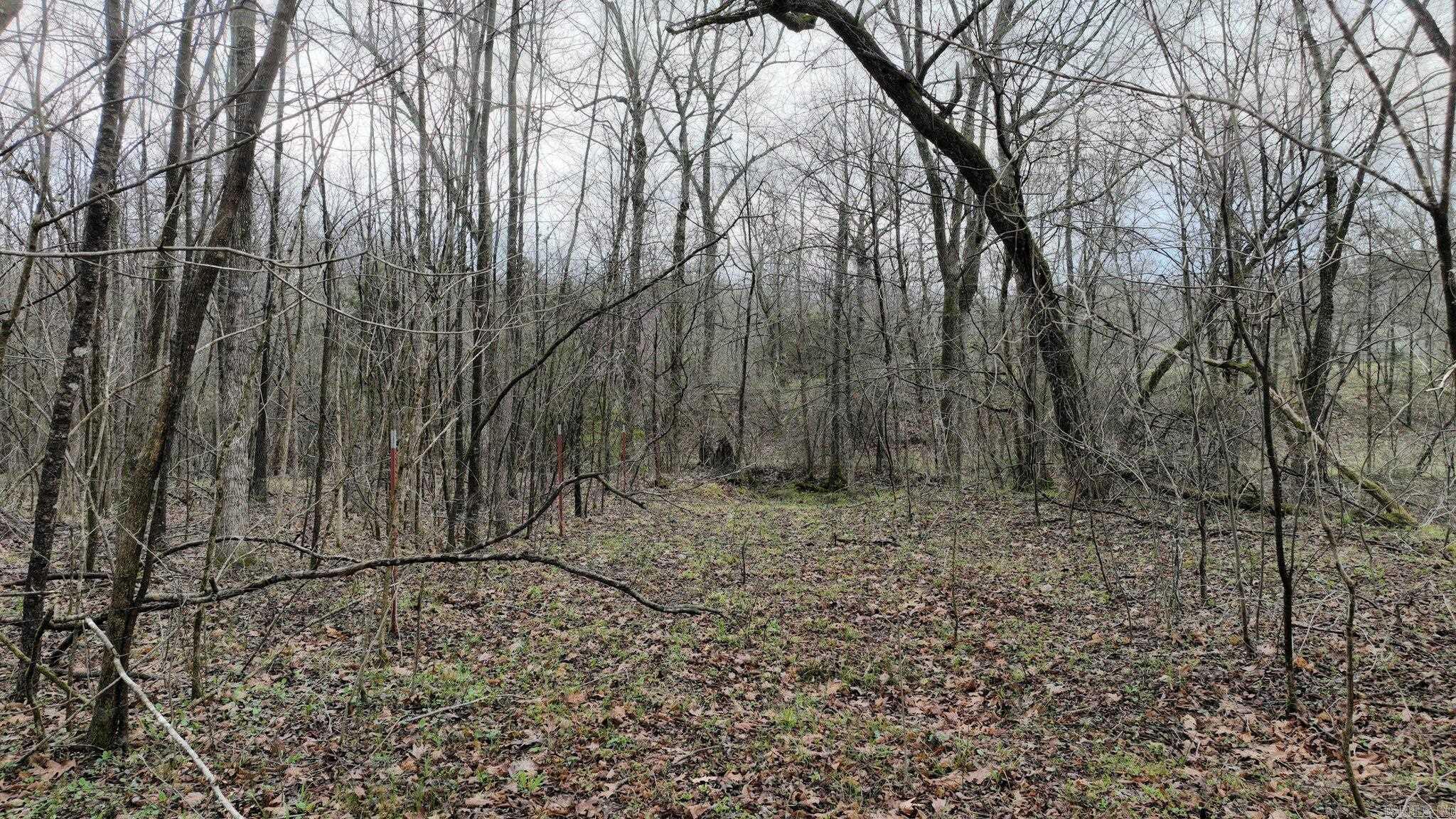 TBD  Highway 8 East  Mena, AR
