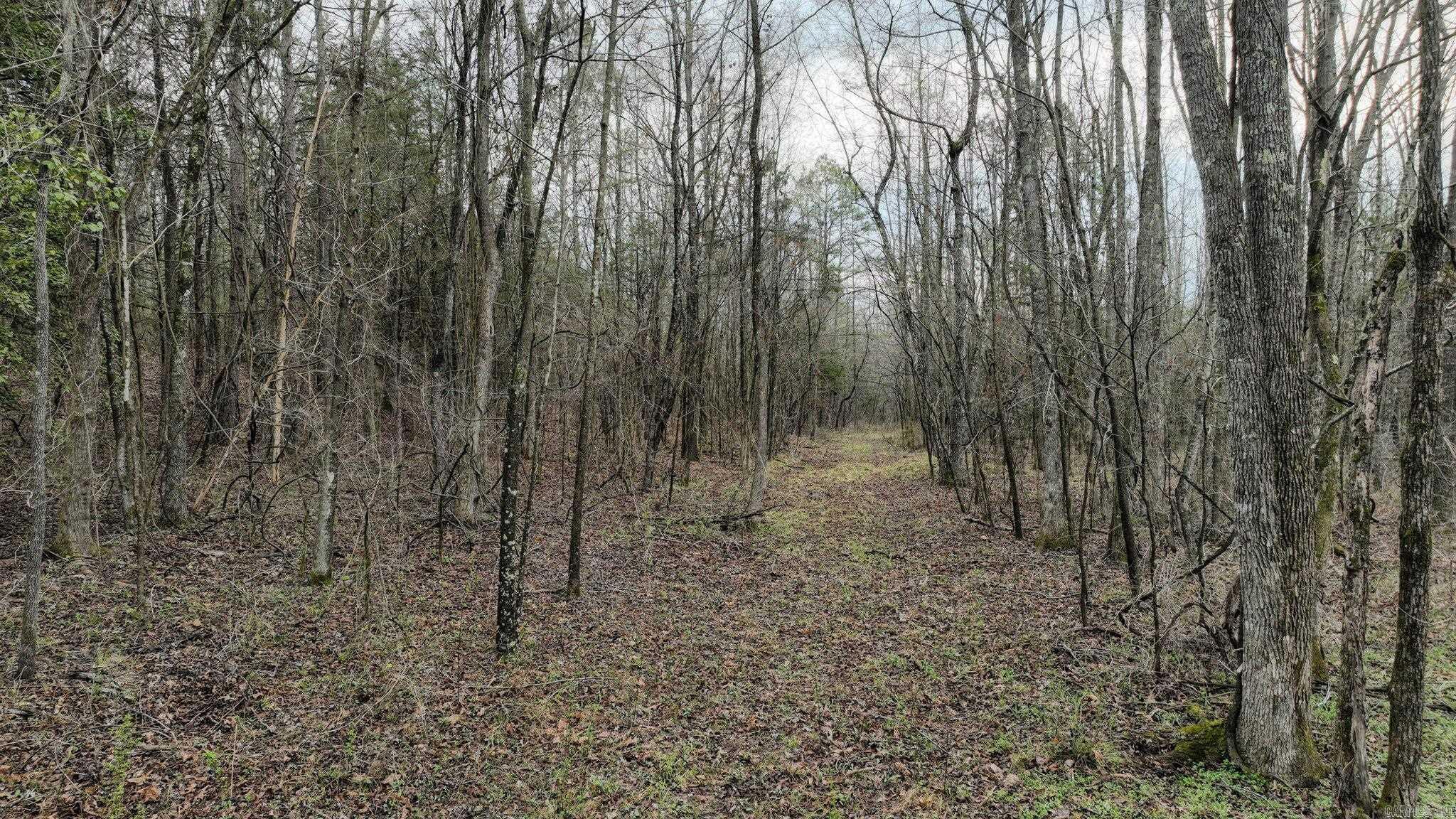 TBD  Highway 8 East  Mena, AR