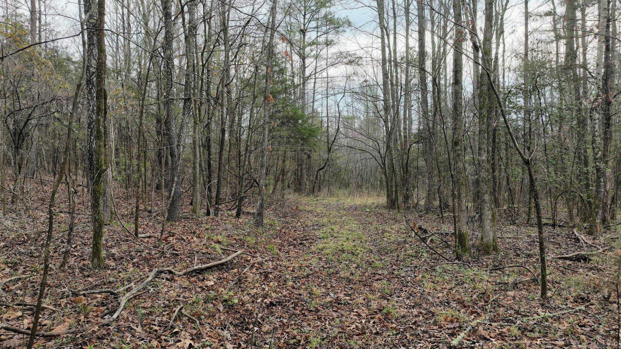 TBD  Highway 8 East  Mena, AR