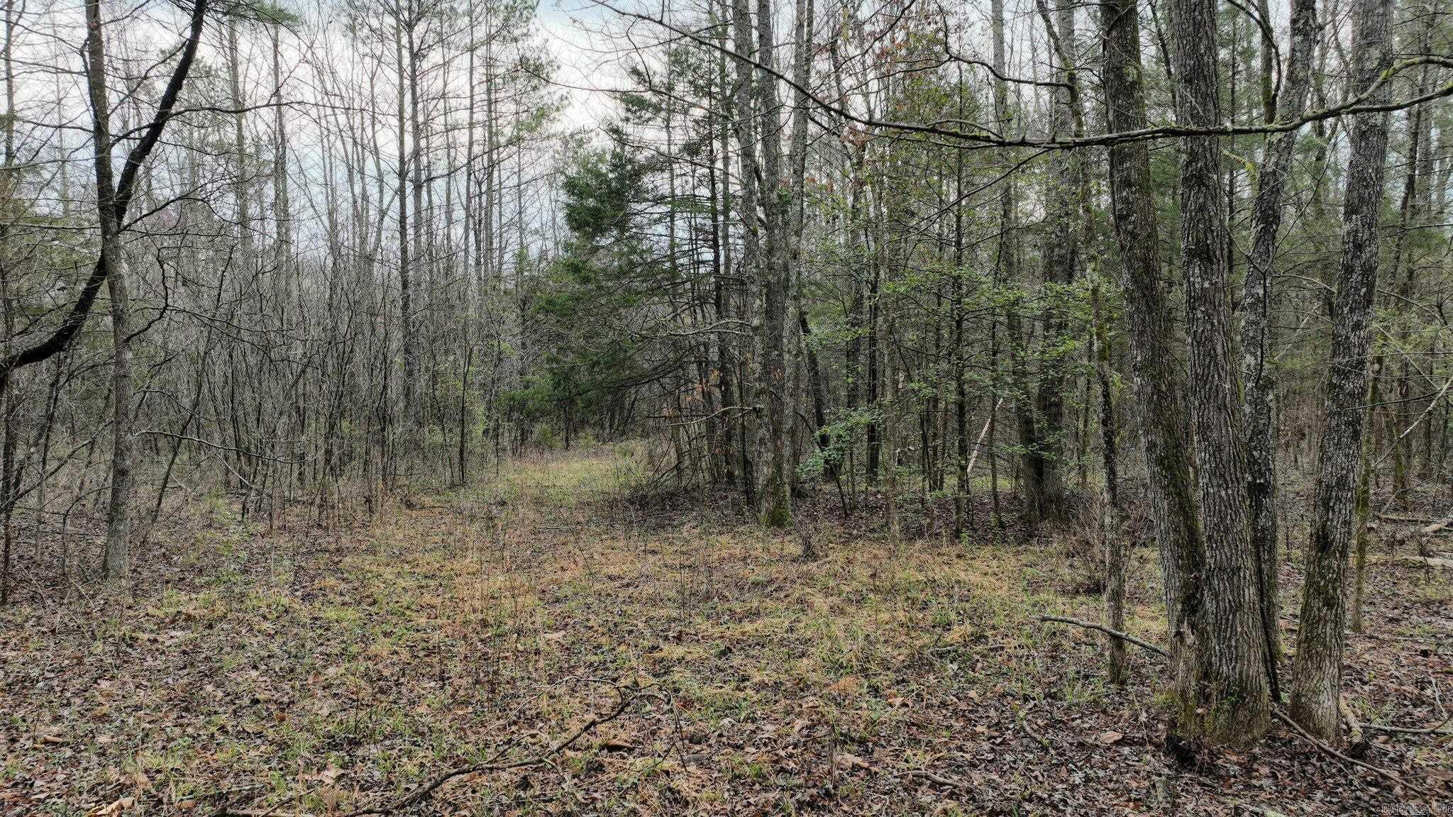TBD  Highway 8 East  Mena, AR